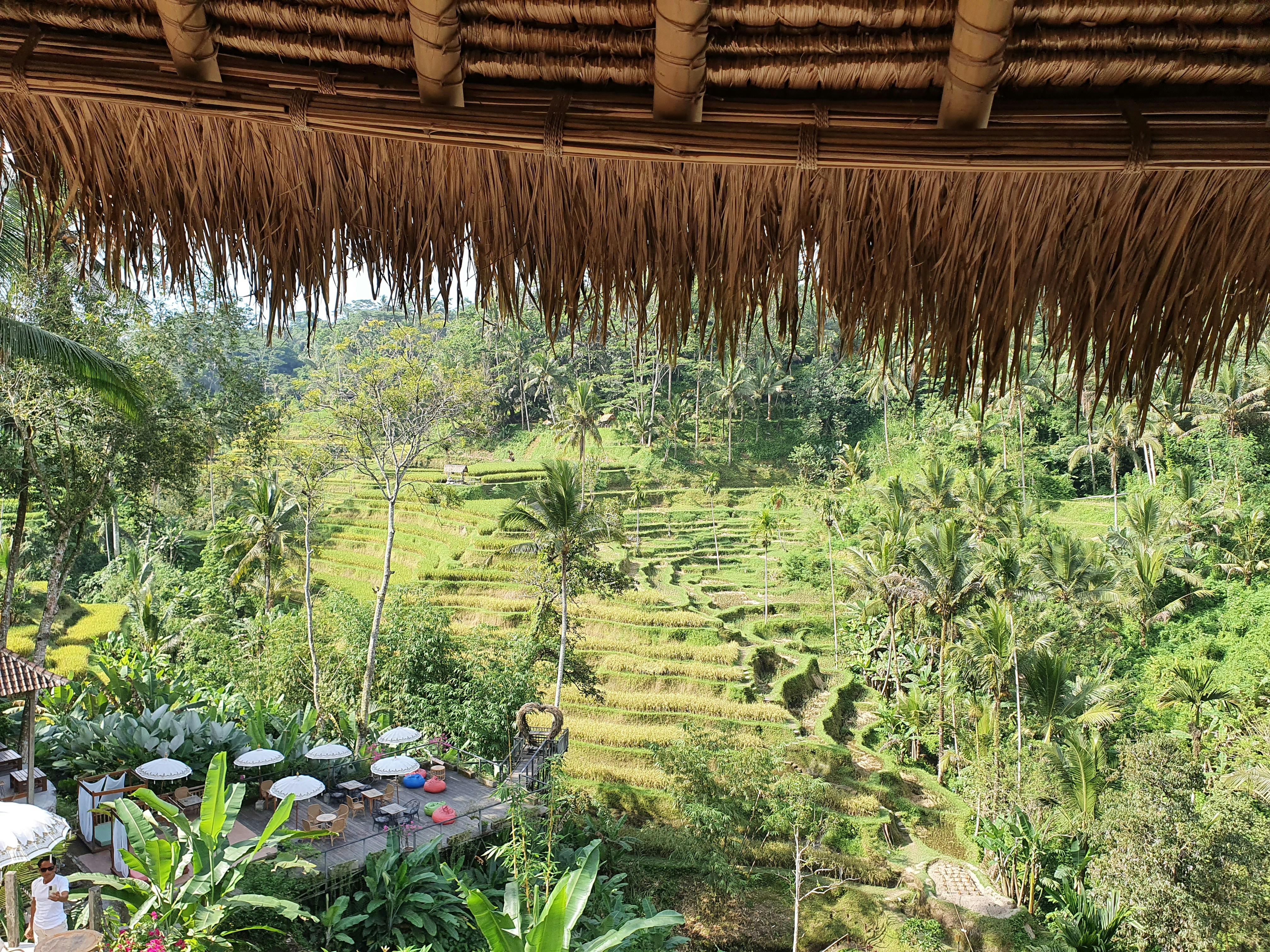 Morning view of rice terraces from villa balcony in Ubud