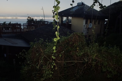 A wooden house with a thatched roof is partially covered by dense foliage. The background features a wide expanse of ocean, with waves gently spreading towards the shore. A few people are visible on the balcony, and a satellite dish is mounted on the house.