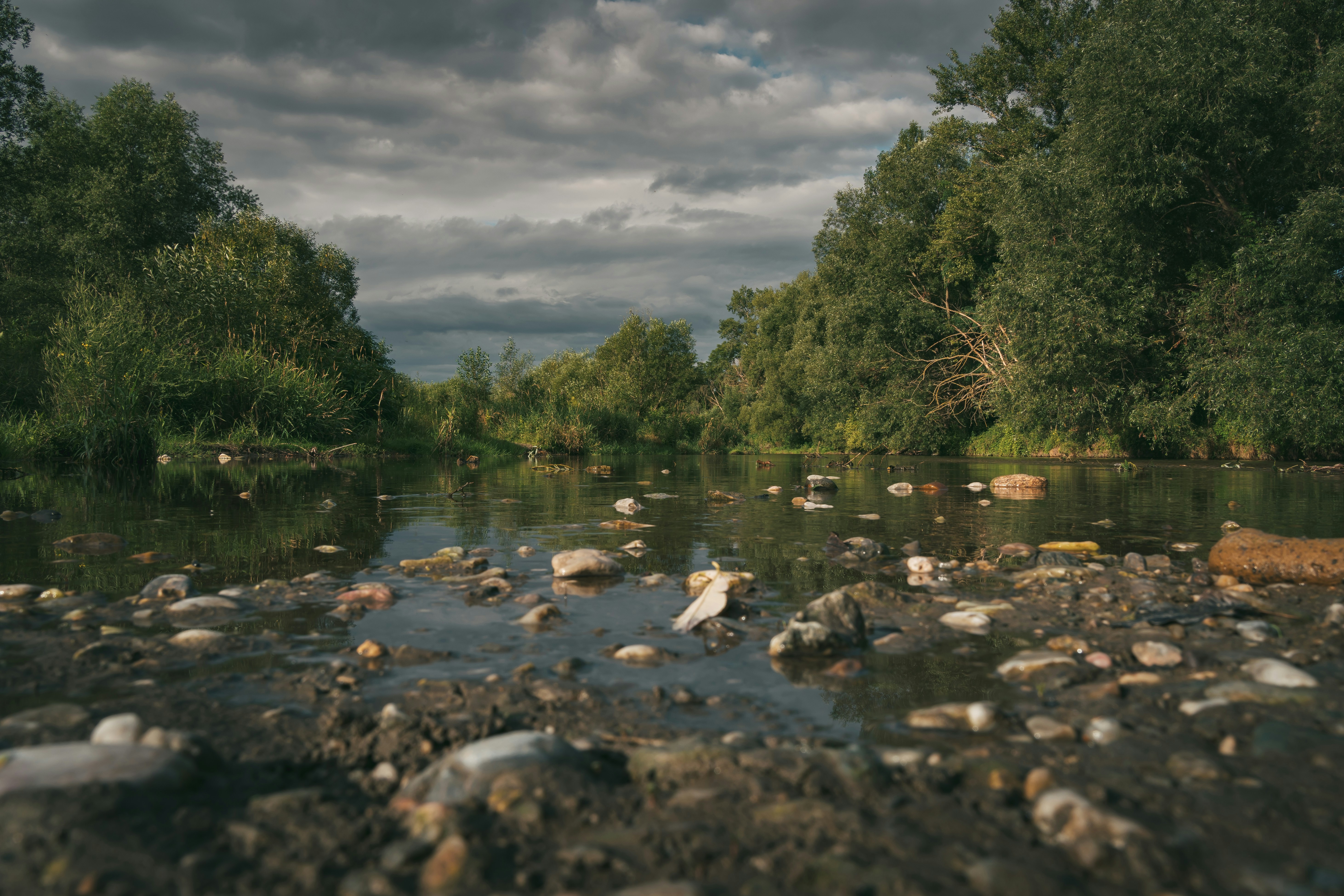 Photo by pino_rumbero