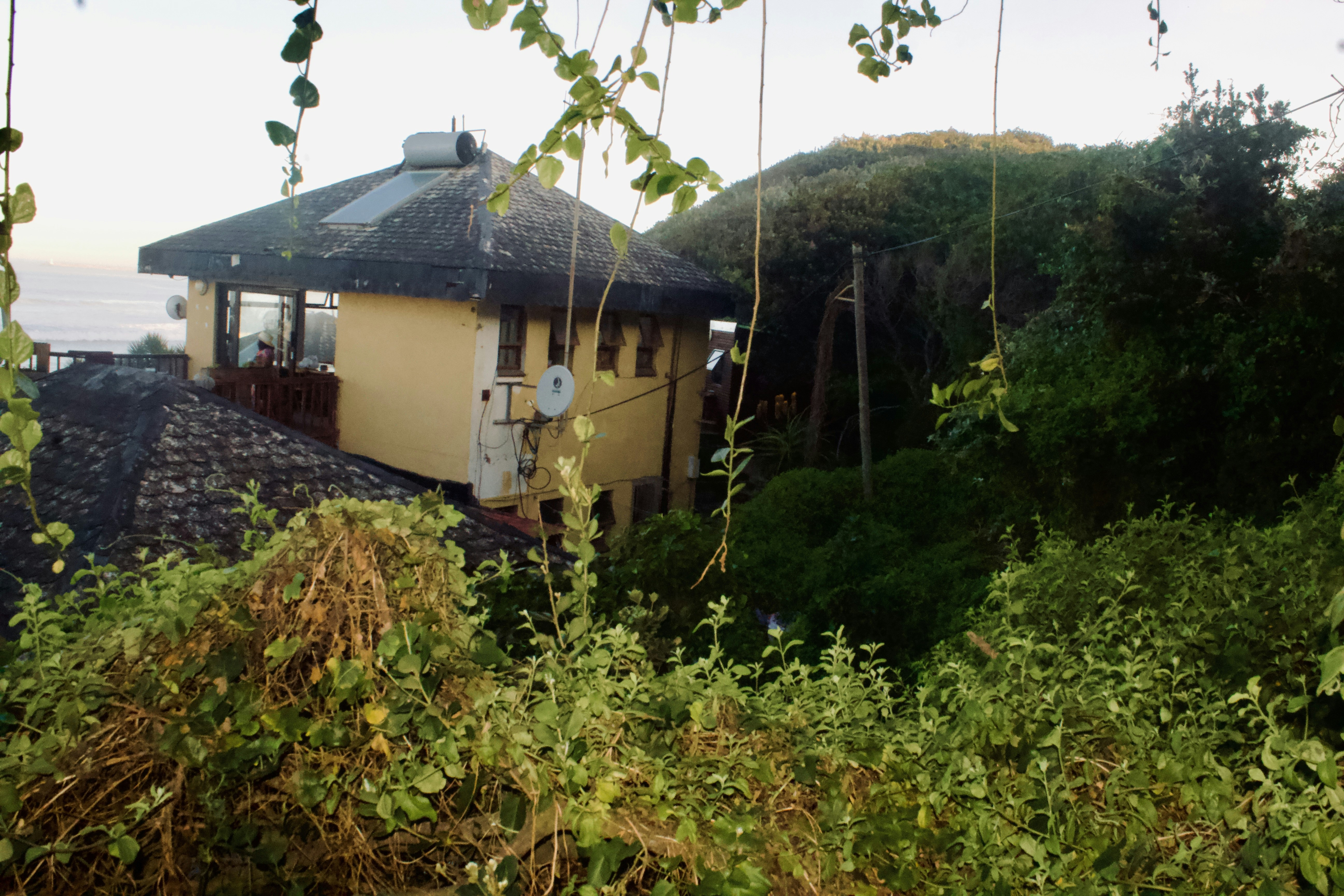 a house in the middle of a forest