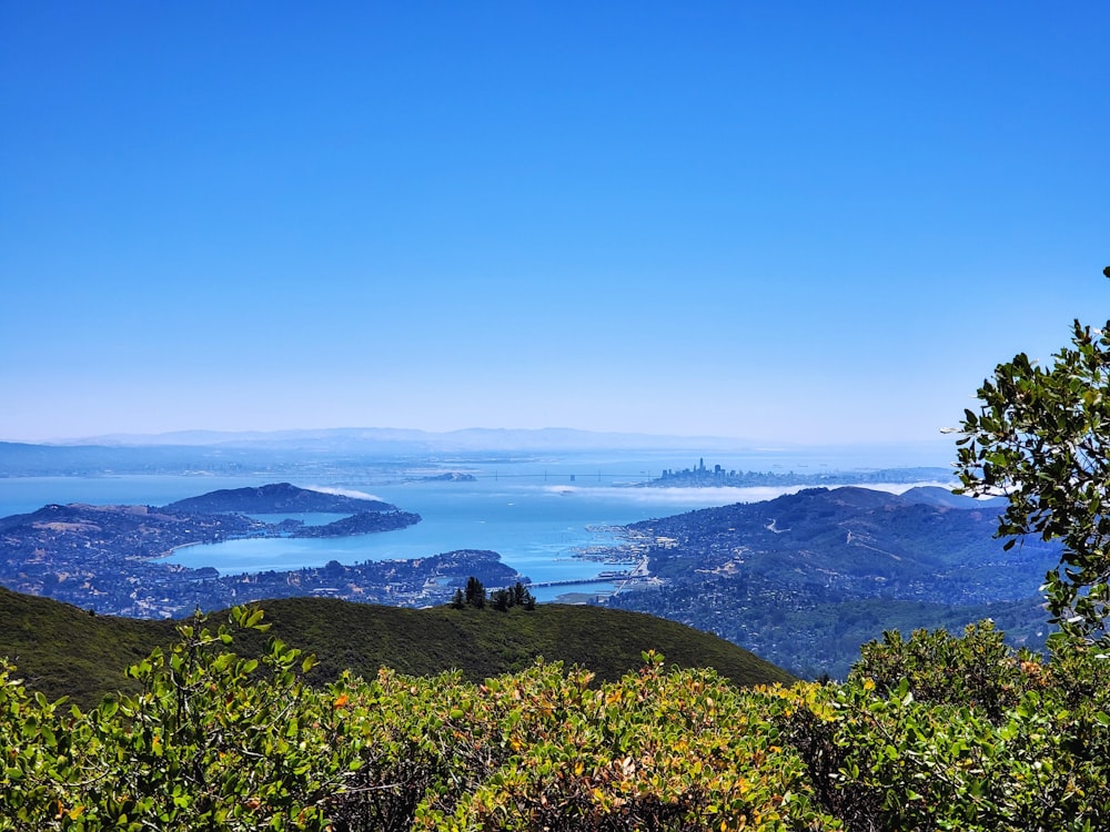 a view of a body of water and land with trees