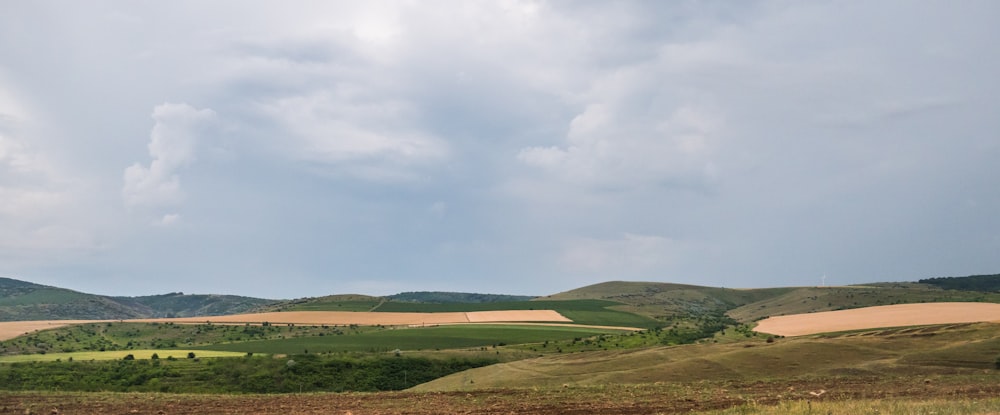 a large open field