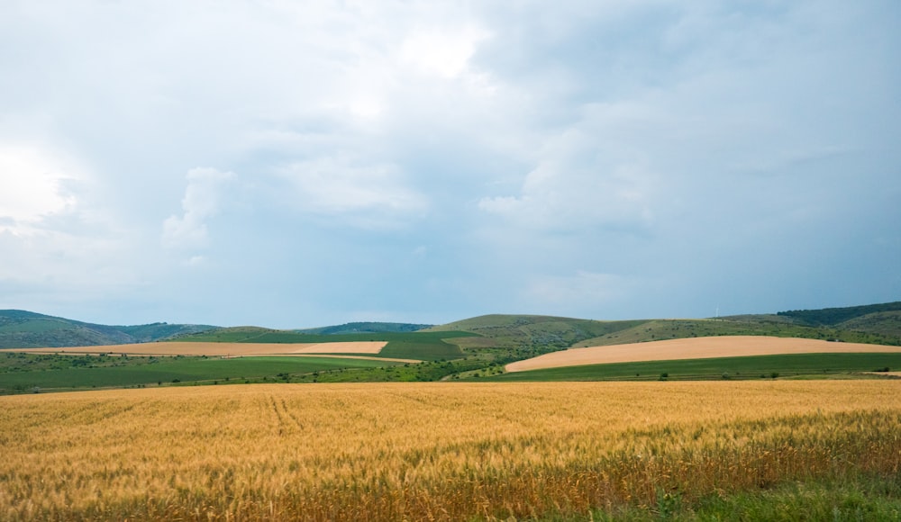 a large open field