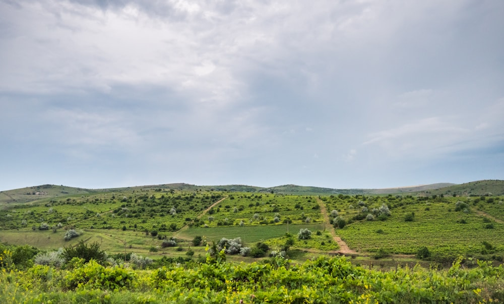 a landscape with hills and trees