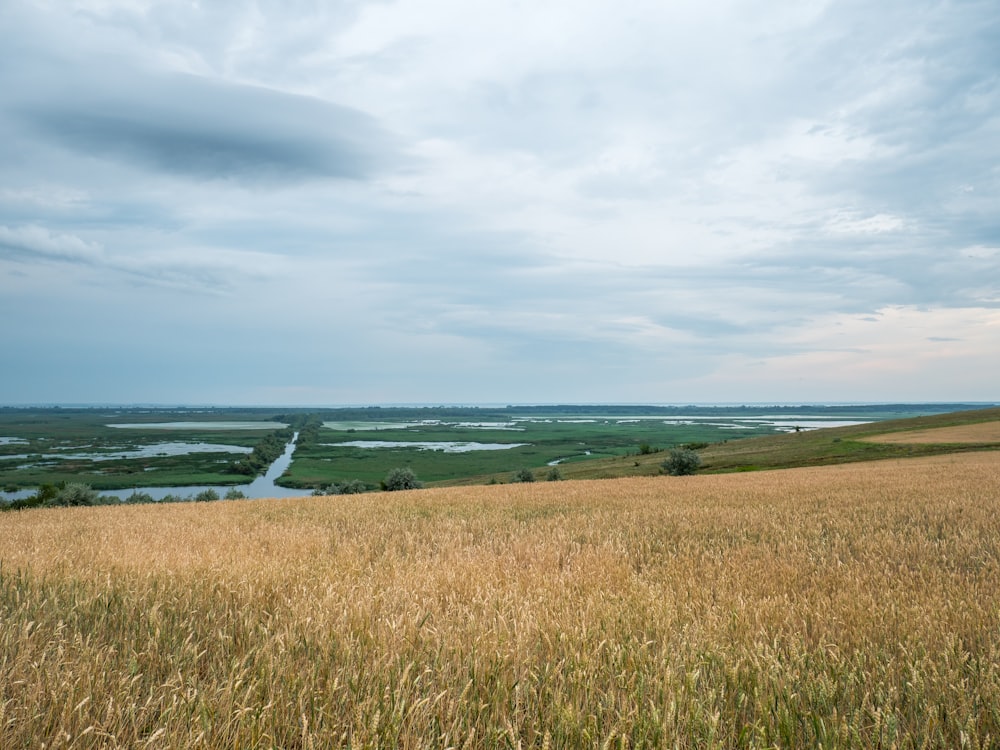 a grassy field with a body of water in the background