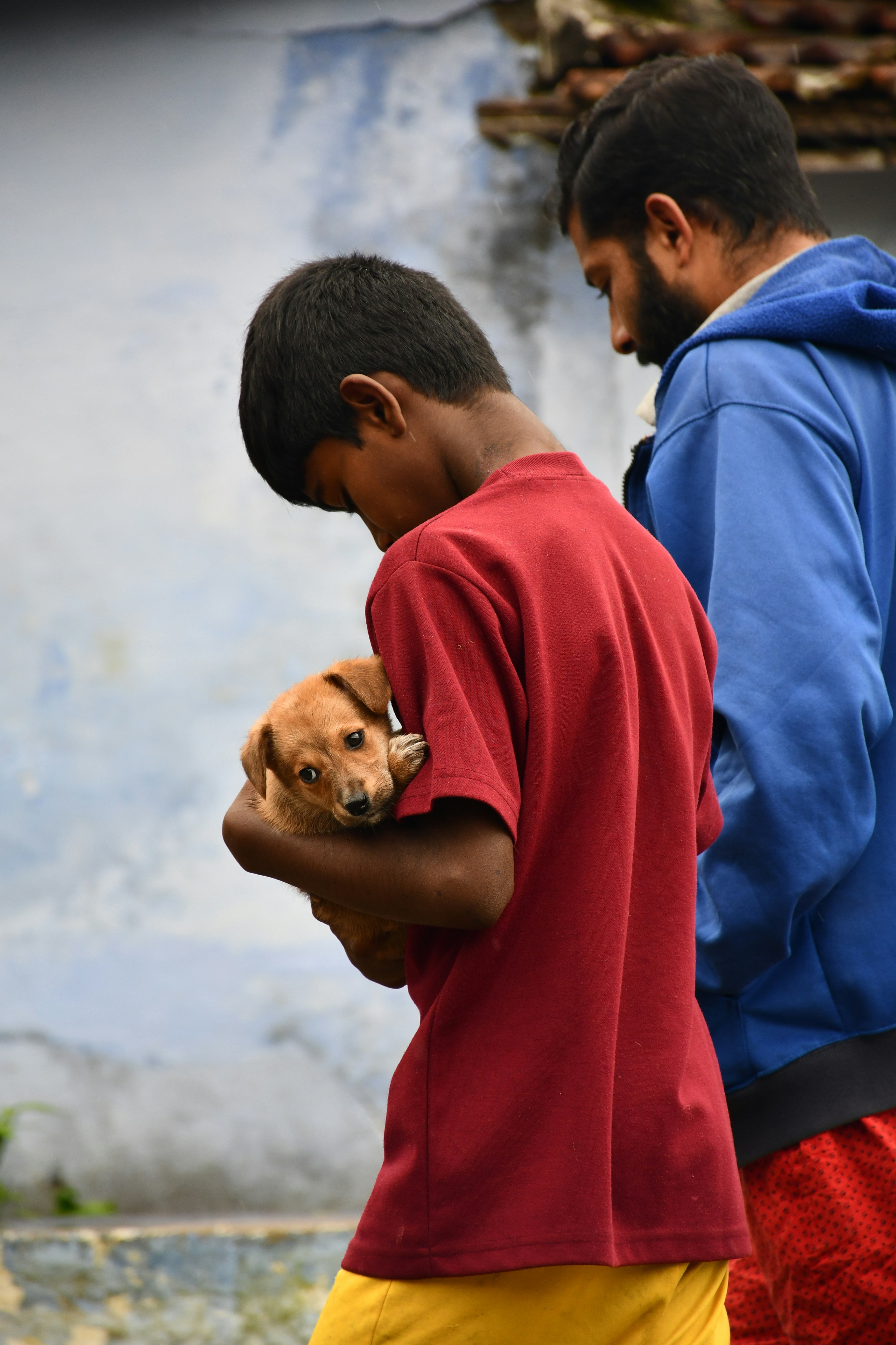 Person holding rescued dog