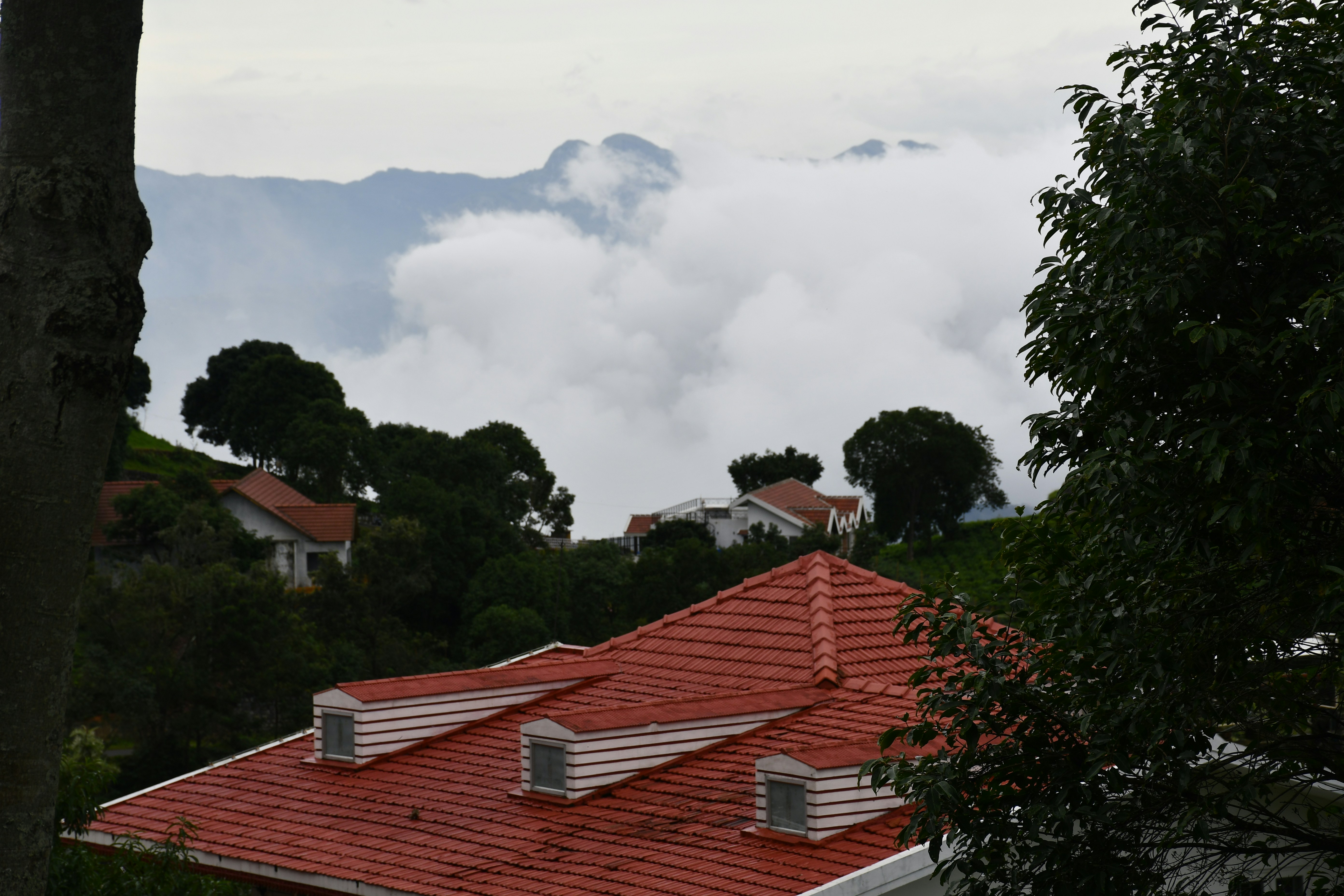 Photo by thatbangaloreanguy