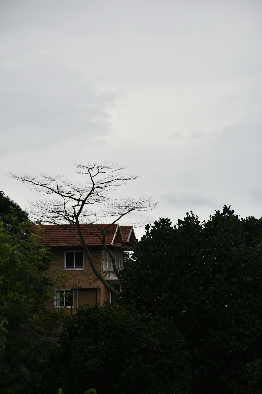 a house surrounded by trees