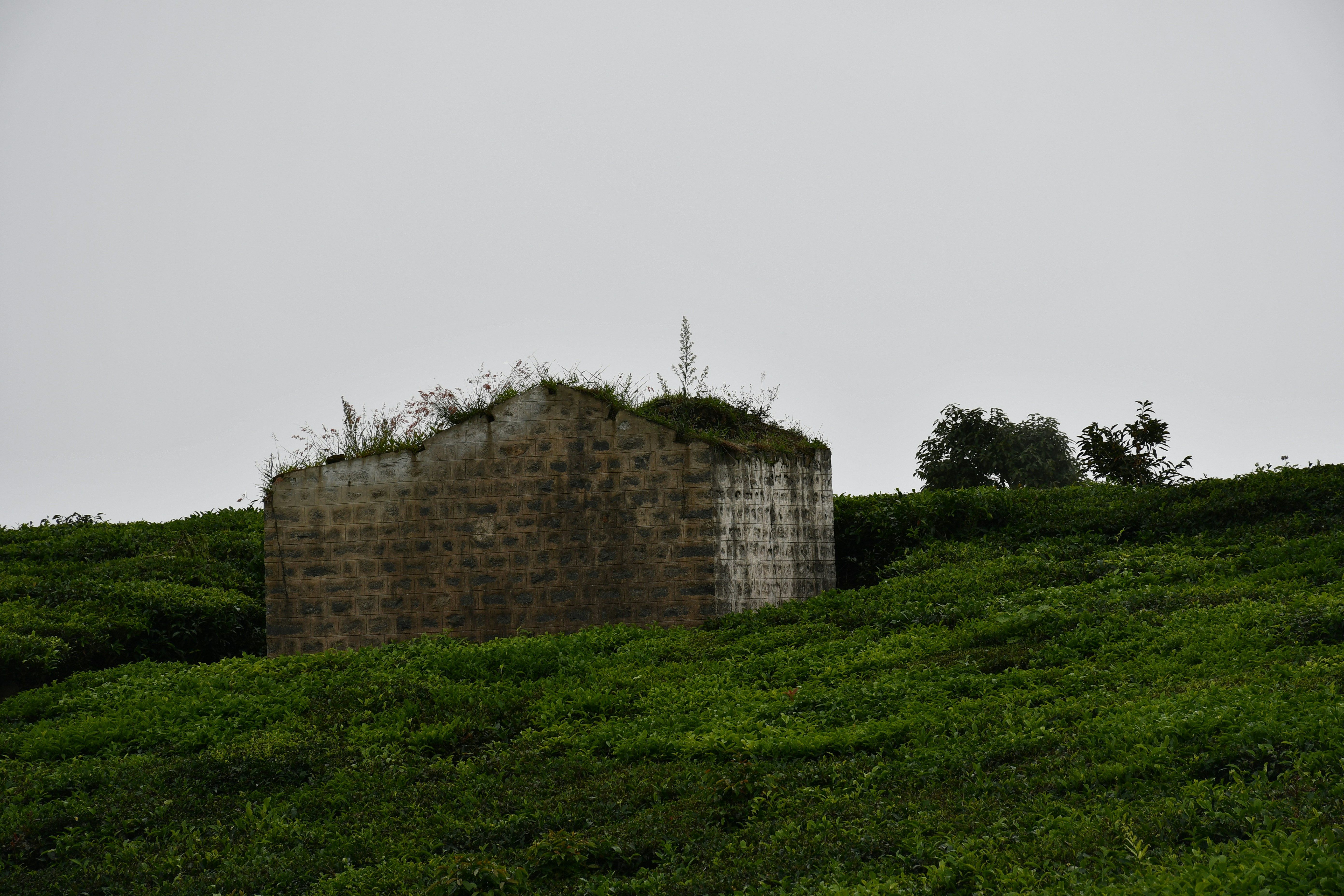 Worli Fort