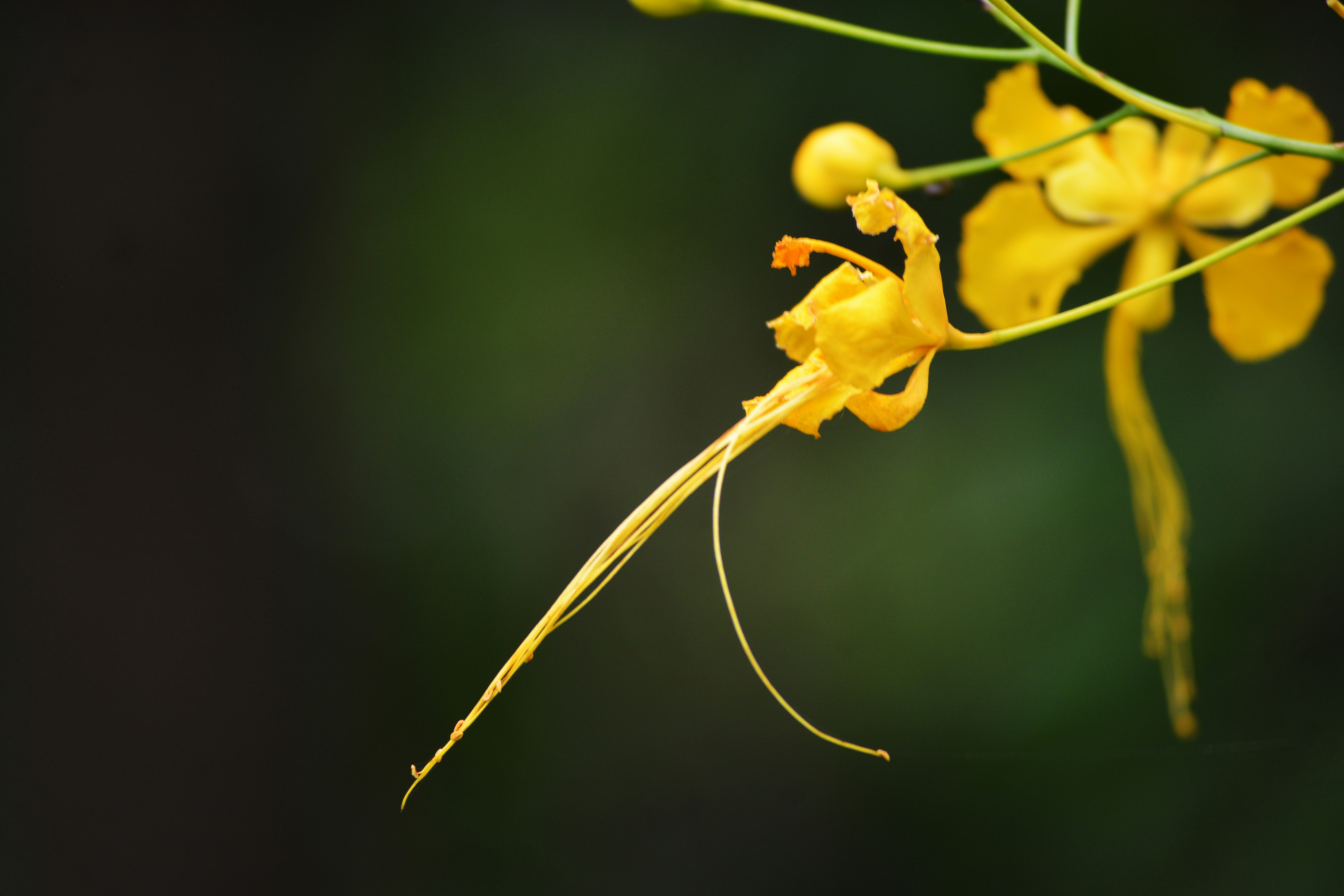 Photo by maheshkulal010