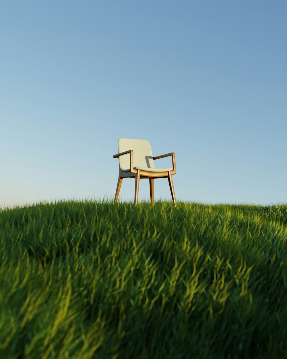 a chair in a field of grass