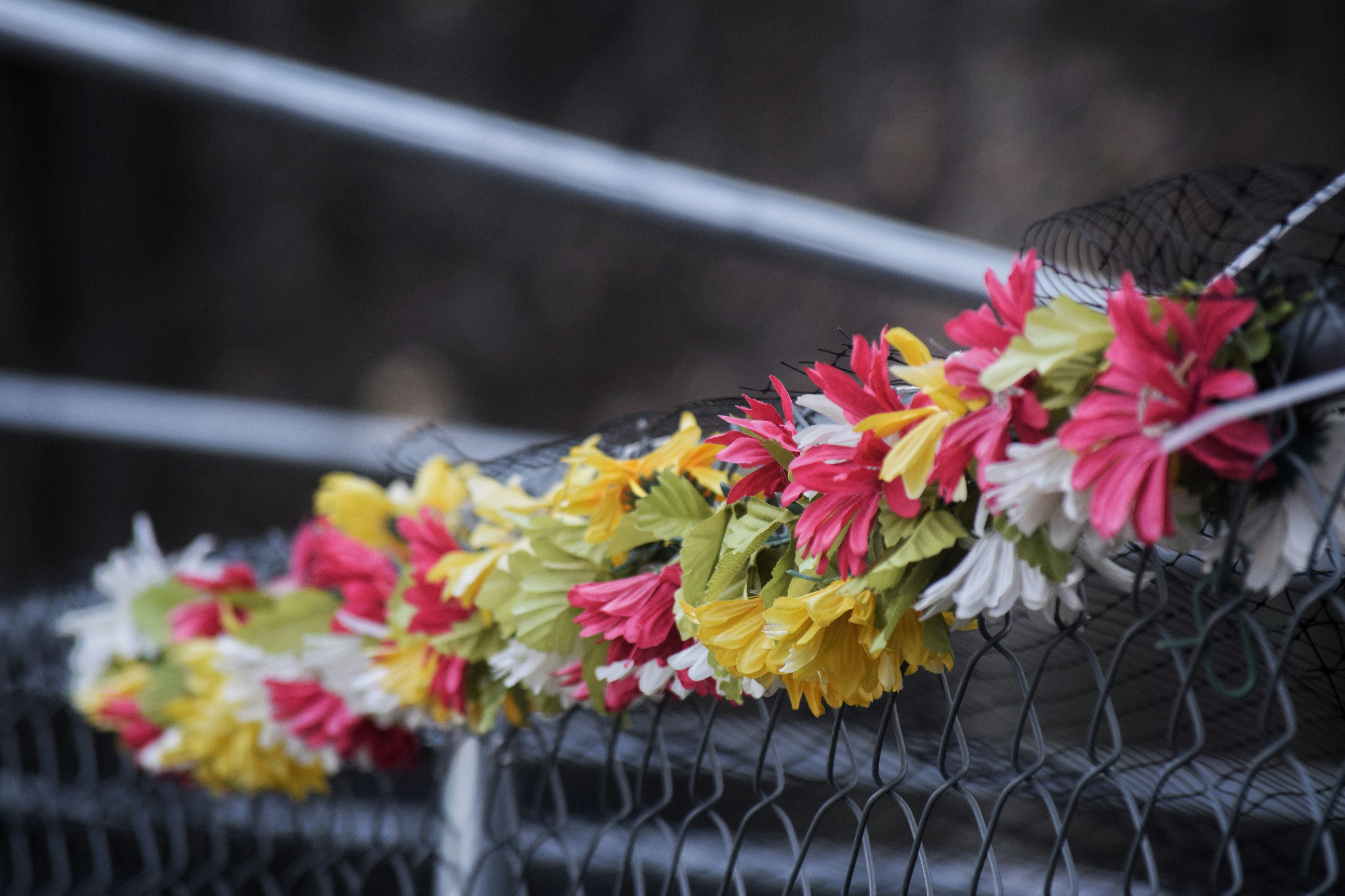 photo-1657535035830-4c953f02092e?ixlib=rb-4.0.3