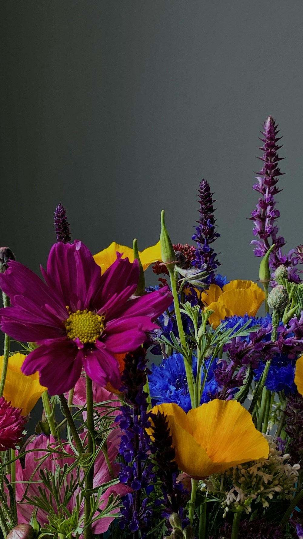 a group of colorful flowers