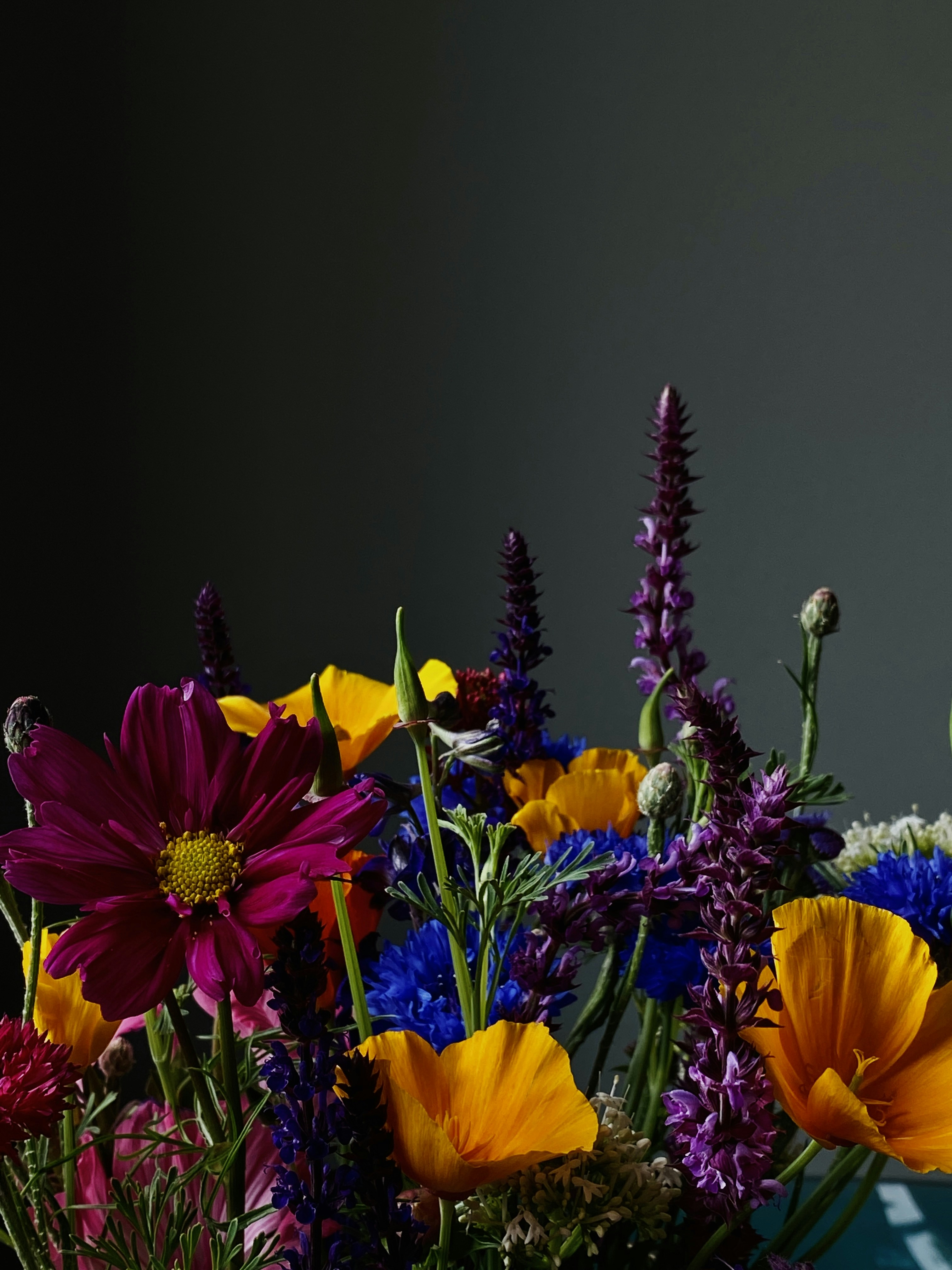 Photo by filipp_roman_photography