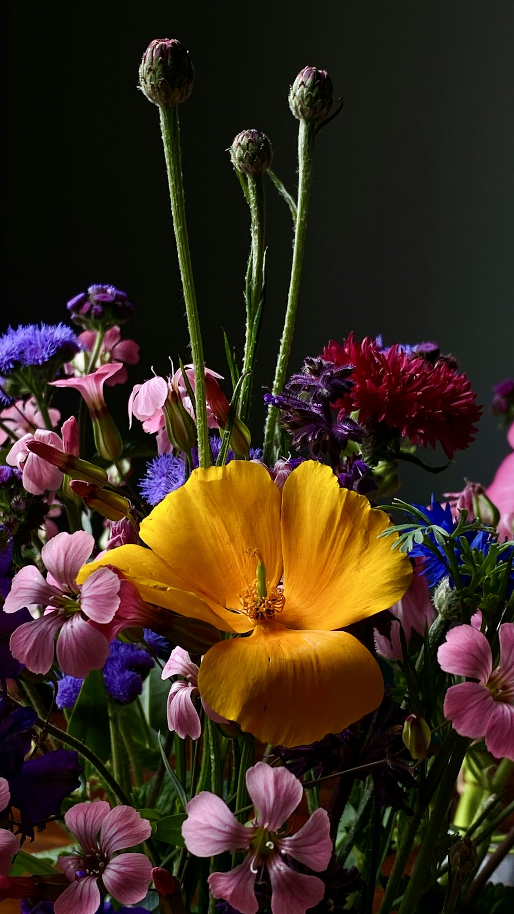 a group of colorful flowers