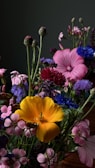An artistic arrangement of vibrant vitaloom products.