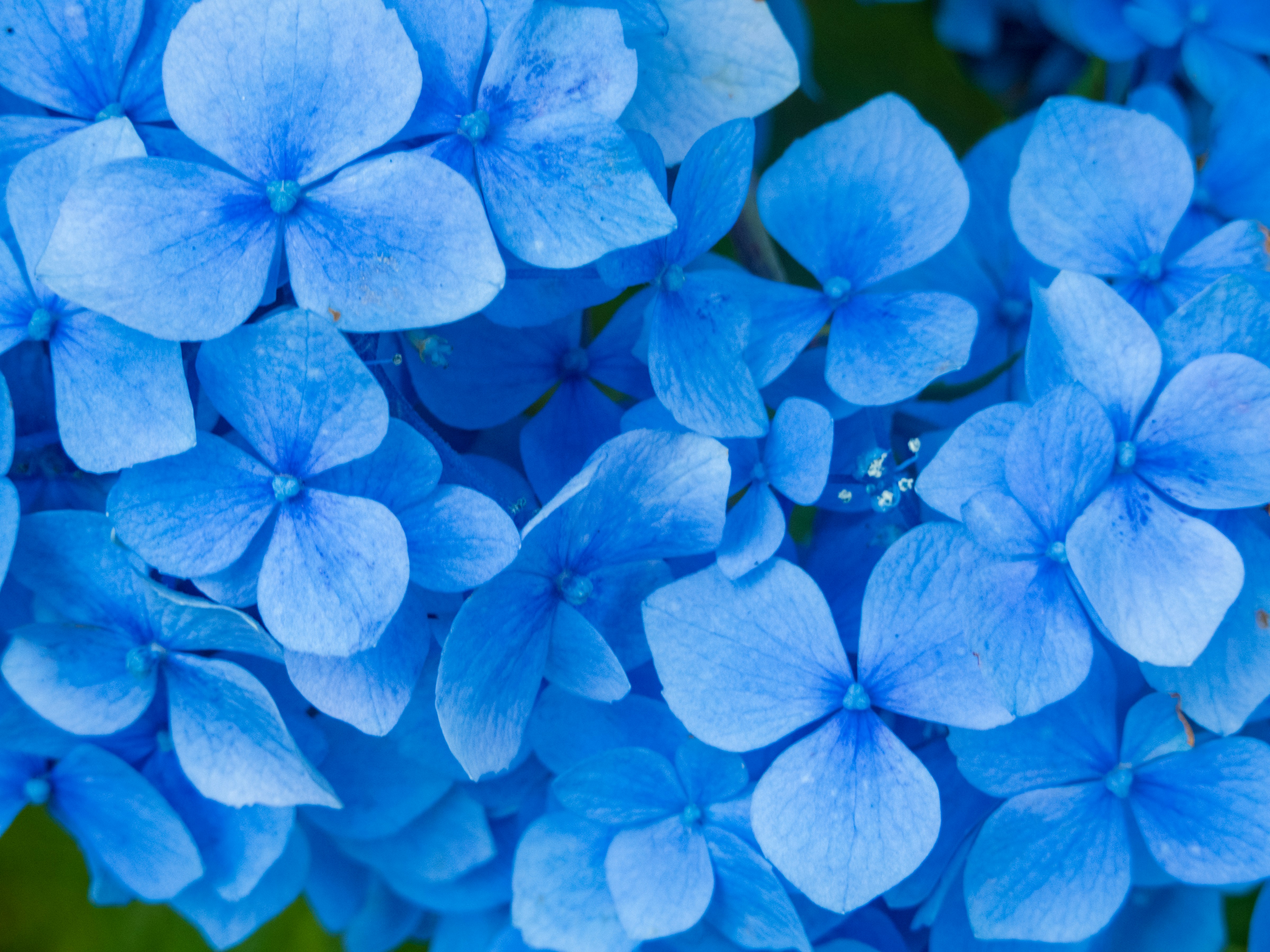 Photo by heppoko_yama