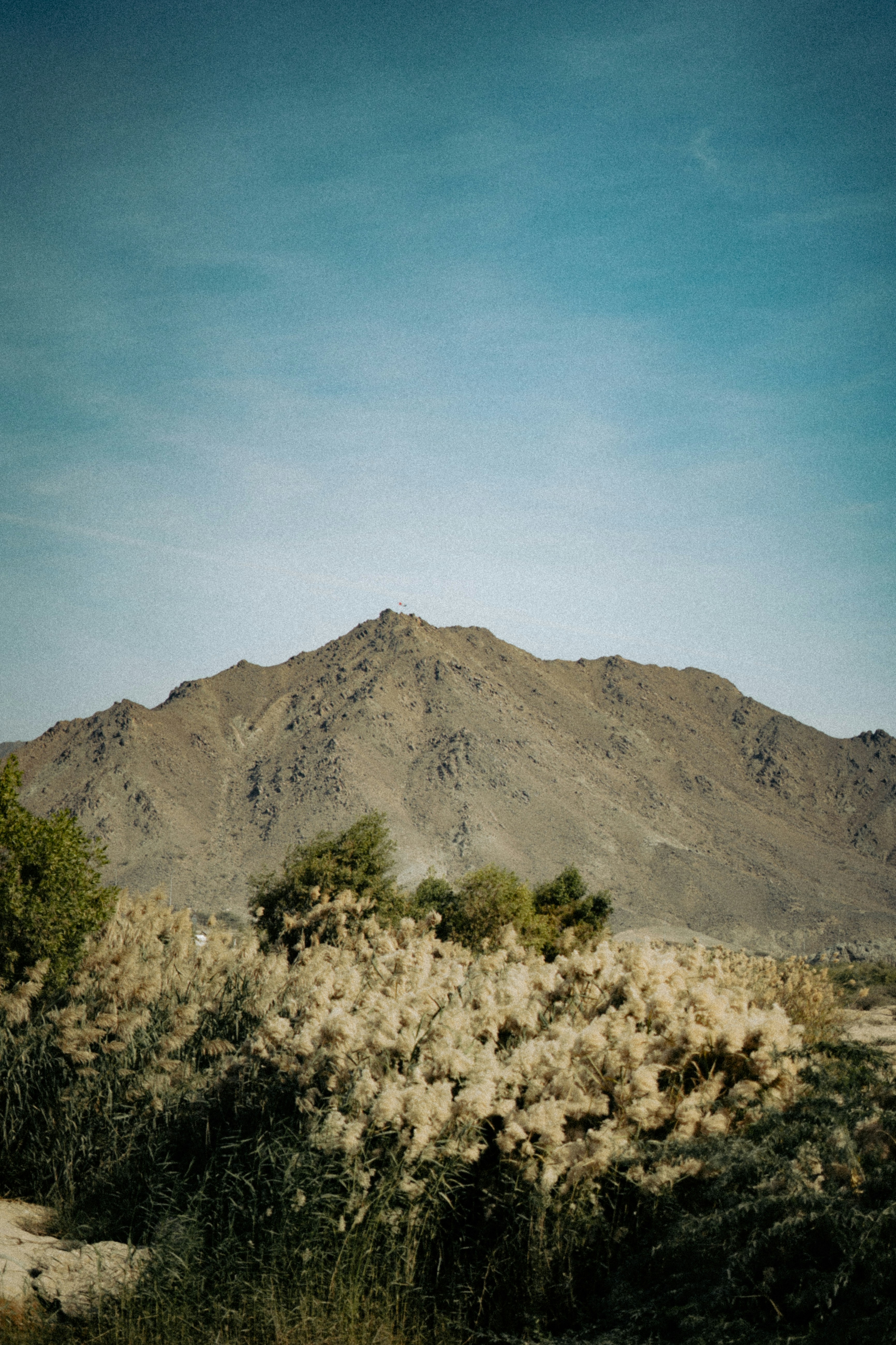 Photo by itadakidesu