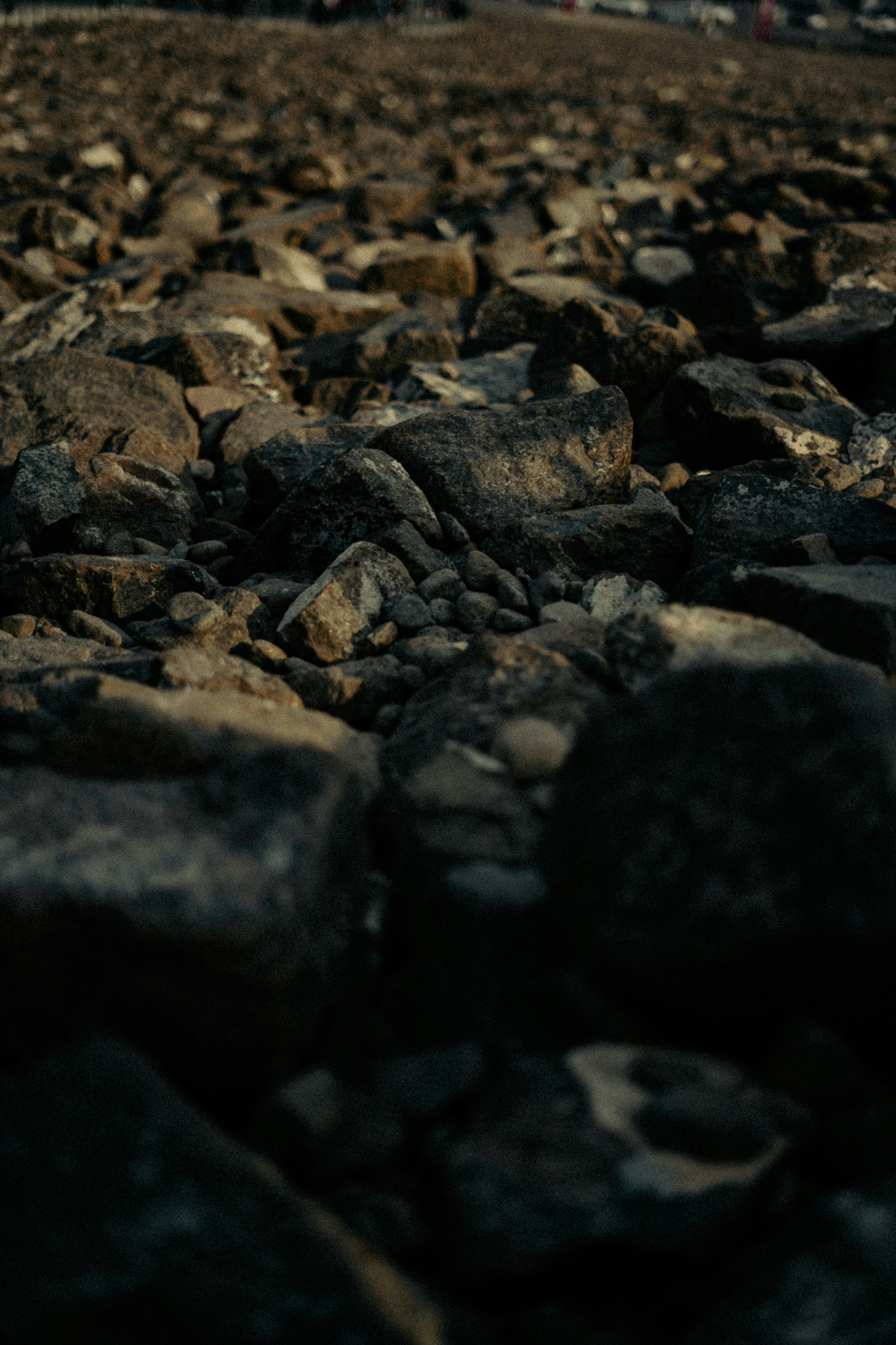 Photo by itadakidesu