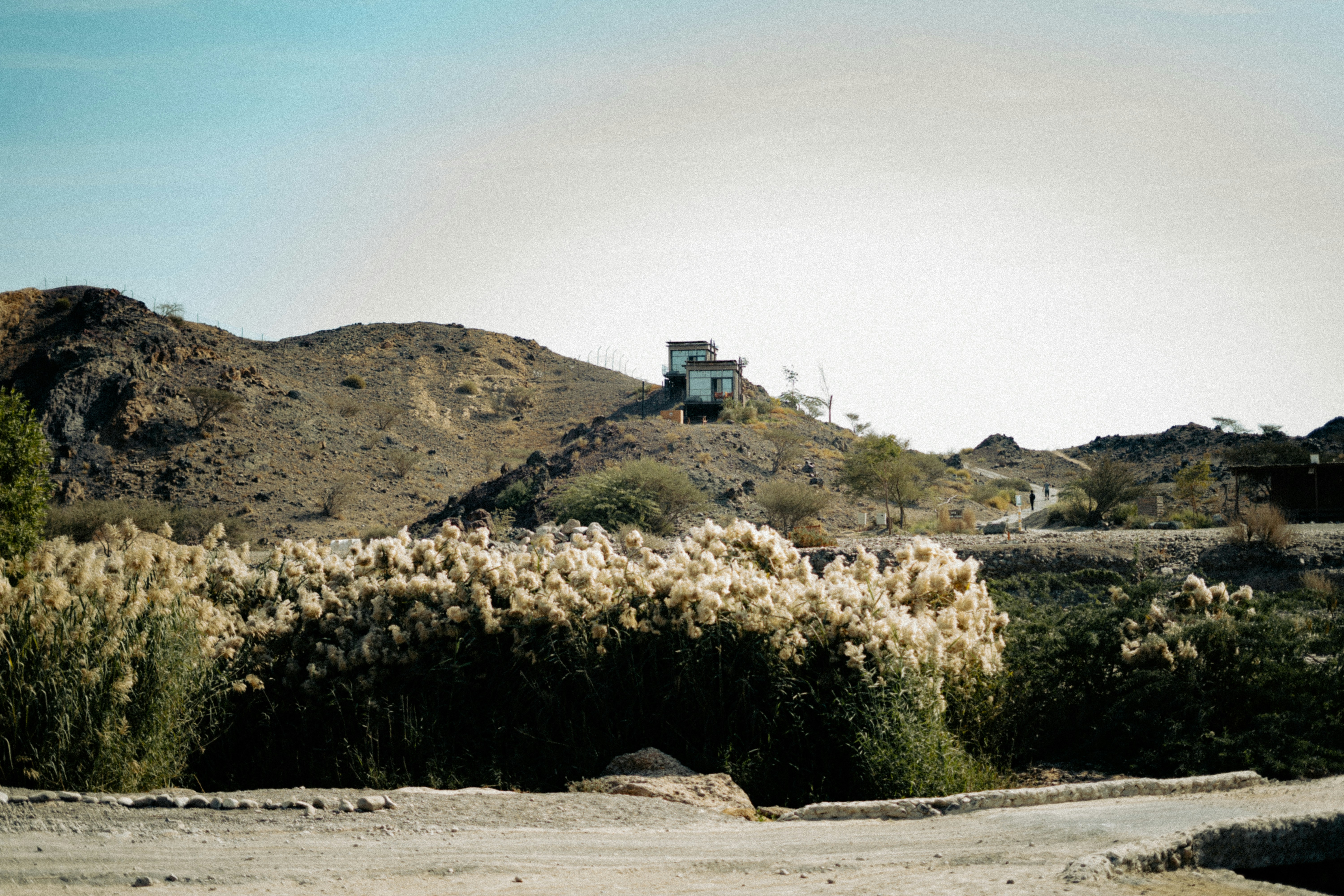 La Playa Park