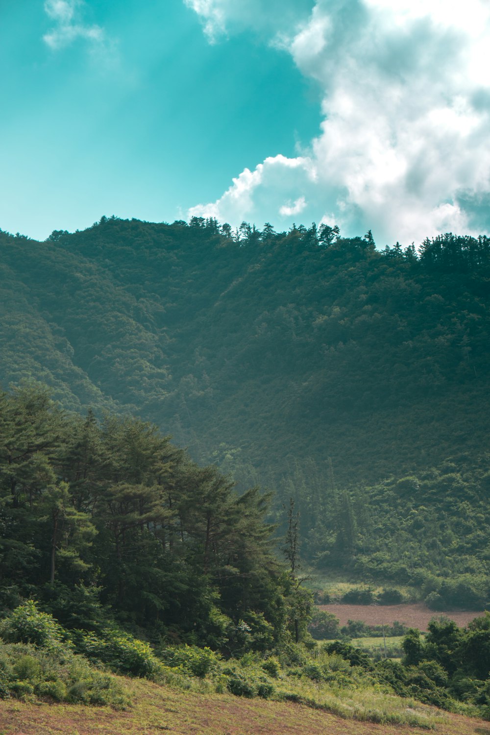 a large green mountain