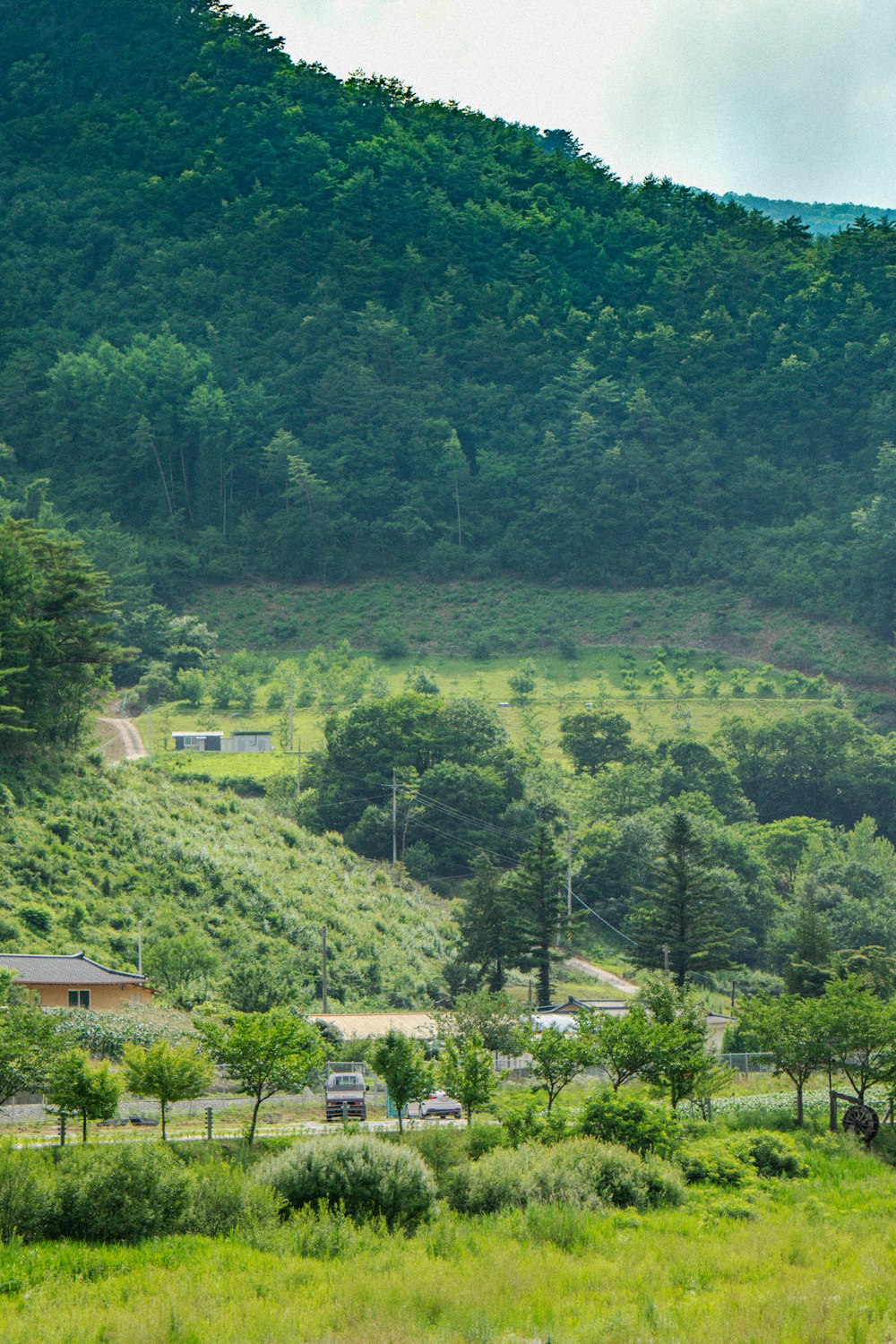 a landscape with trees and buildings