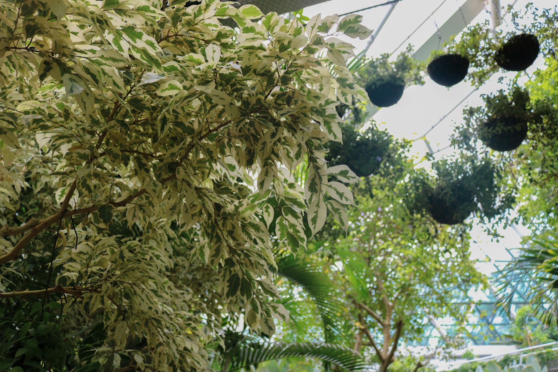 gray computer monitor