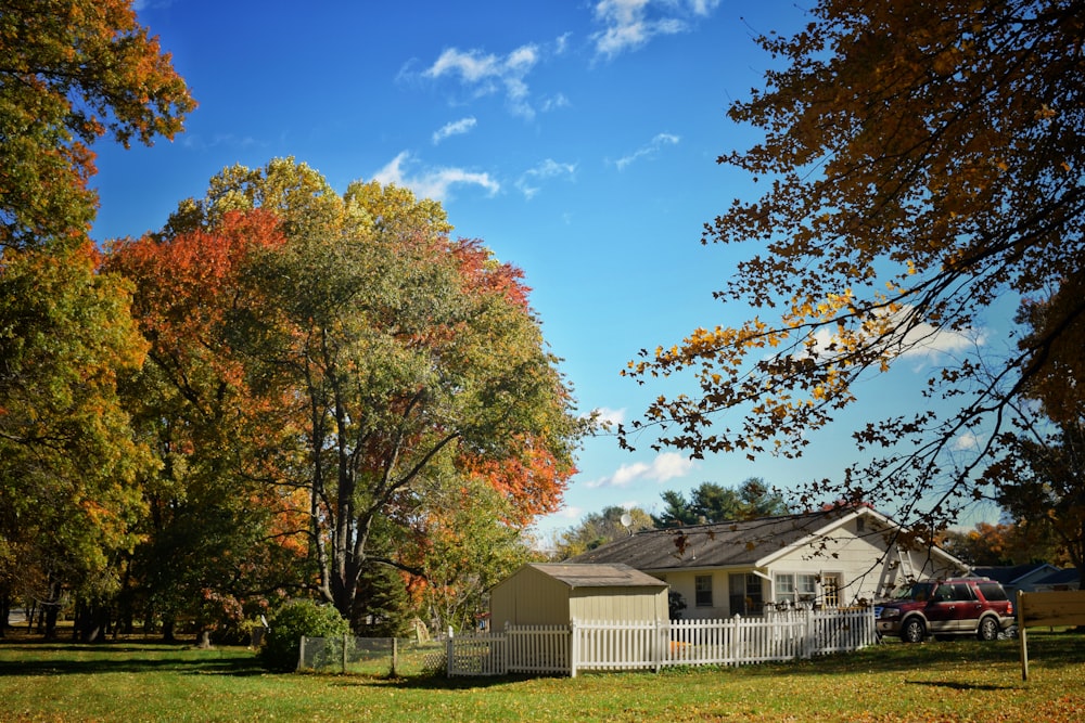 a house with trees around it