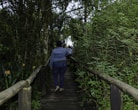 a group of people walking on a wooden bridge in the woods