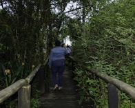 a group of people walking on a wooden bridge in the woods