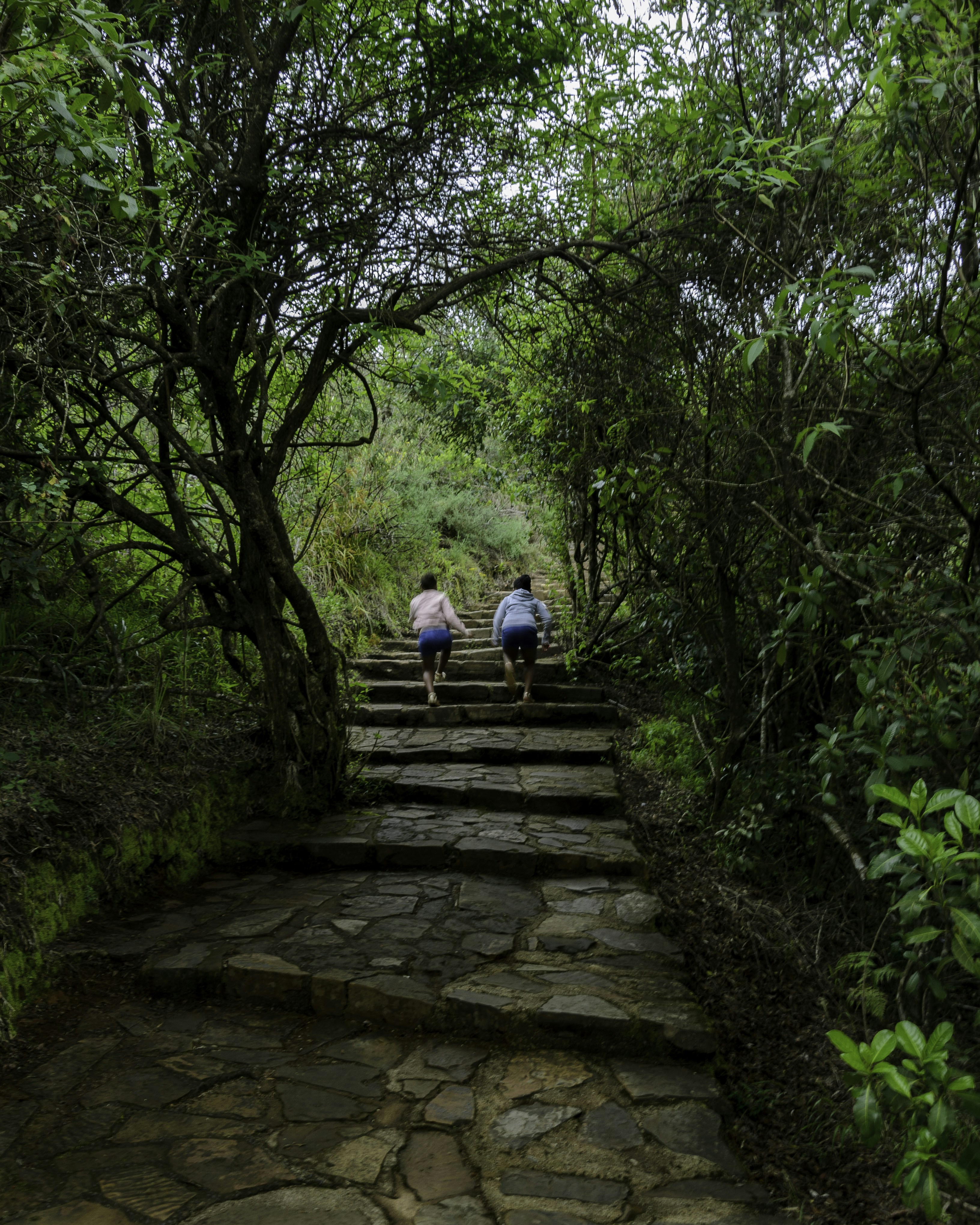 Photo by stewardesign