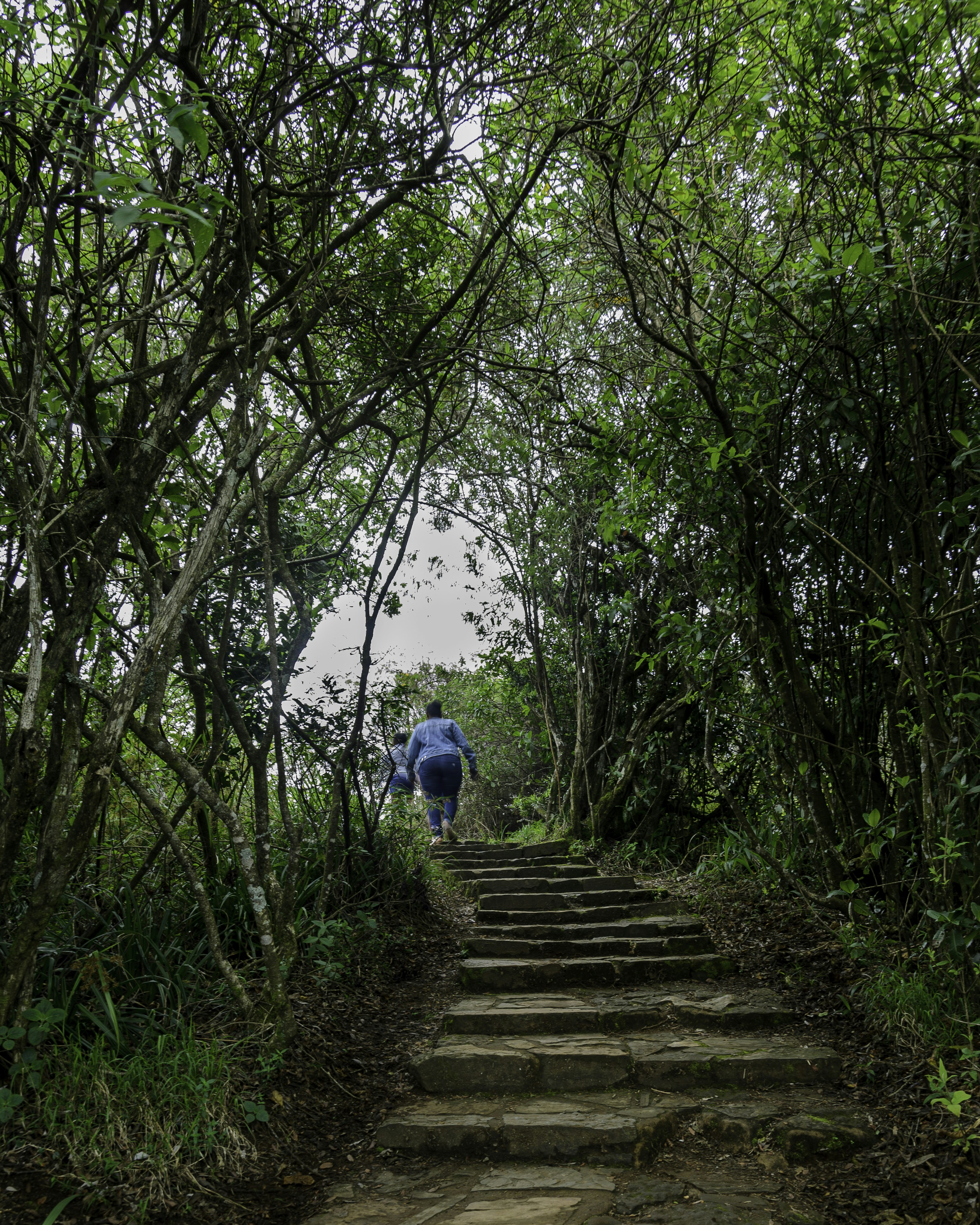 Photo by stewardesign