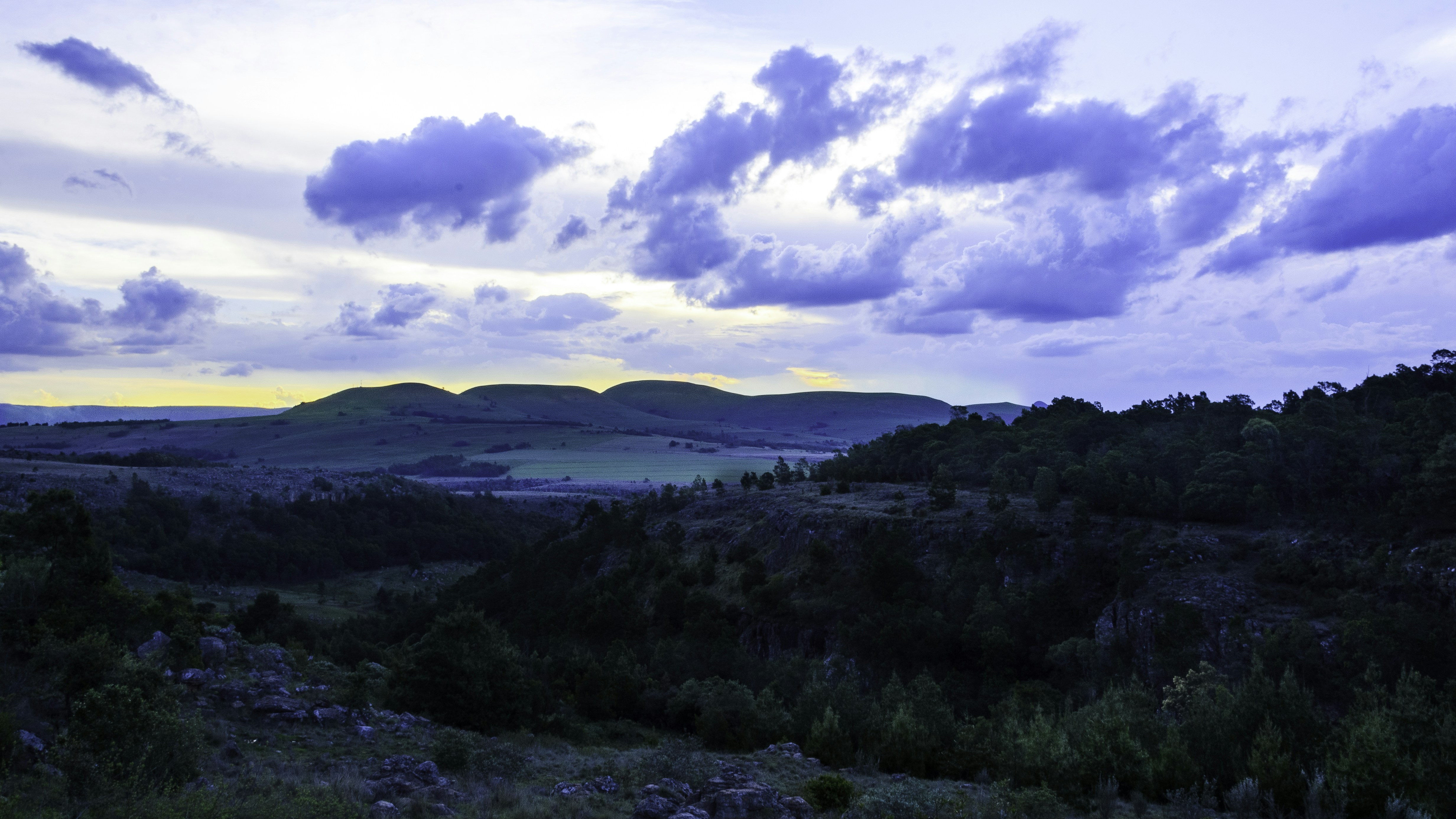 Photo by stewardesign