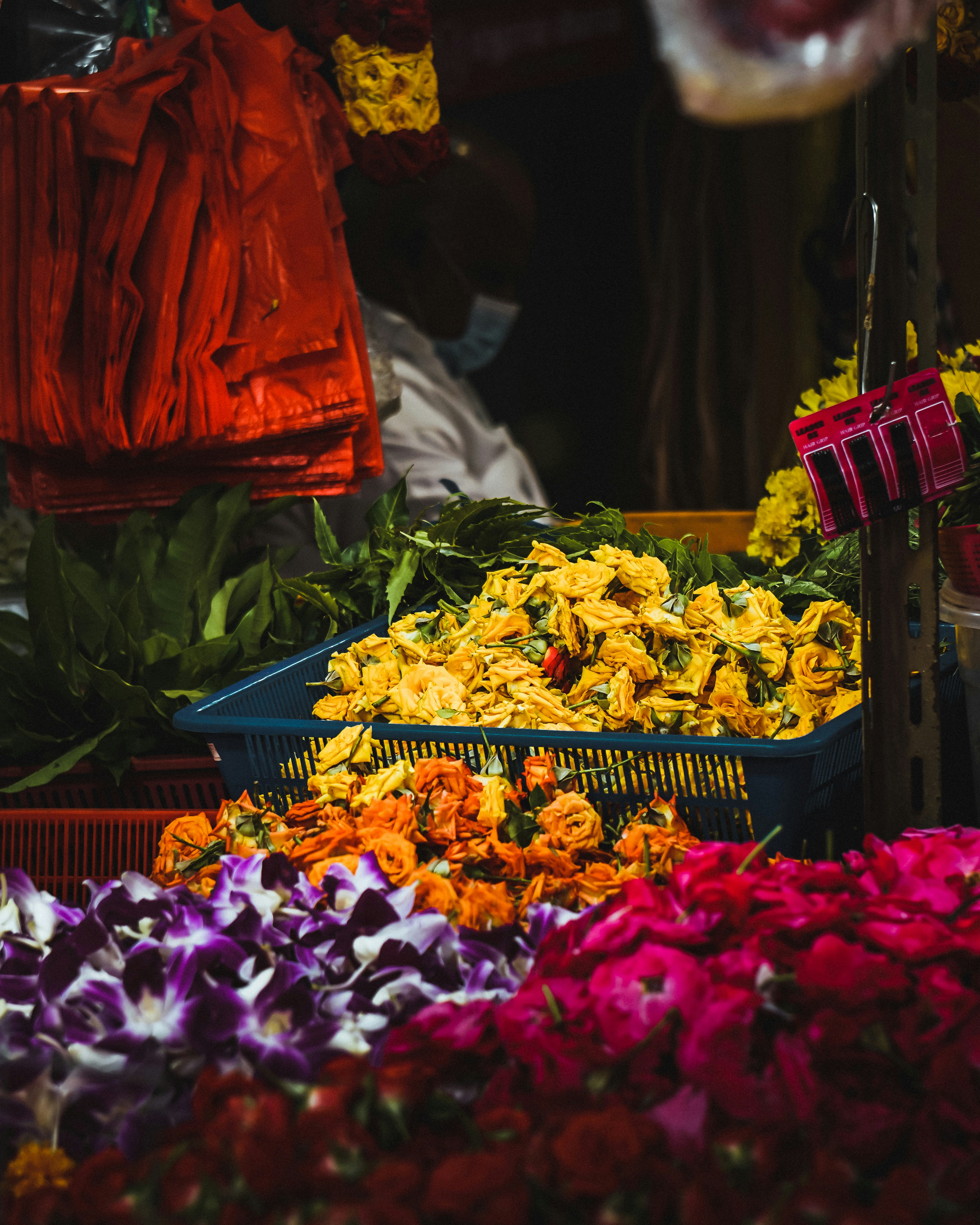 Photo by bruncolombo