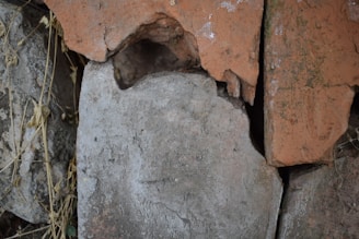 Cracked, weathered bricks stacked against each other with some dry plant matter interspersed between them. The surface of the bricks is rough and aged, with visible chips and spots of discoloration.