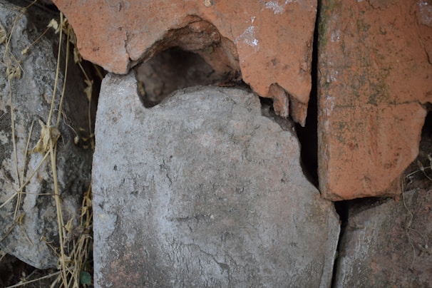 Cracked, weathered bricks stacked against each other with some dry plant matter interspersed between them. The surface of the bricks is rough and aged, with visible chips and spots of discoloration.