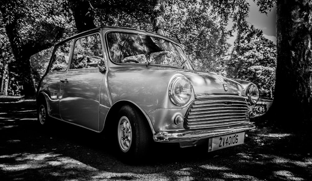 a car parked in a wooded area