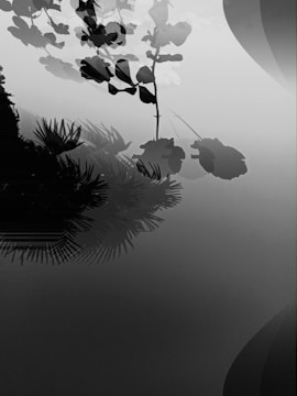 Calm background with a subtle tree silhouette in modern colors.