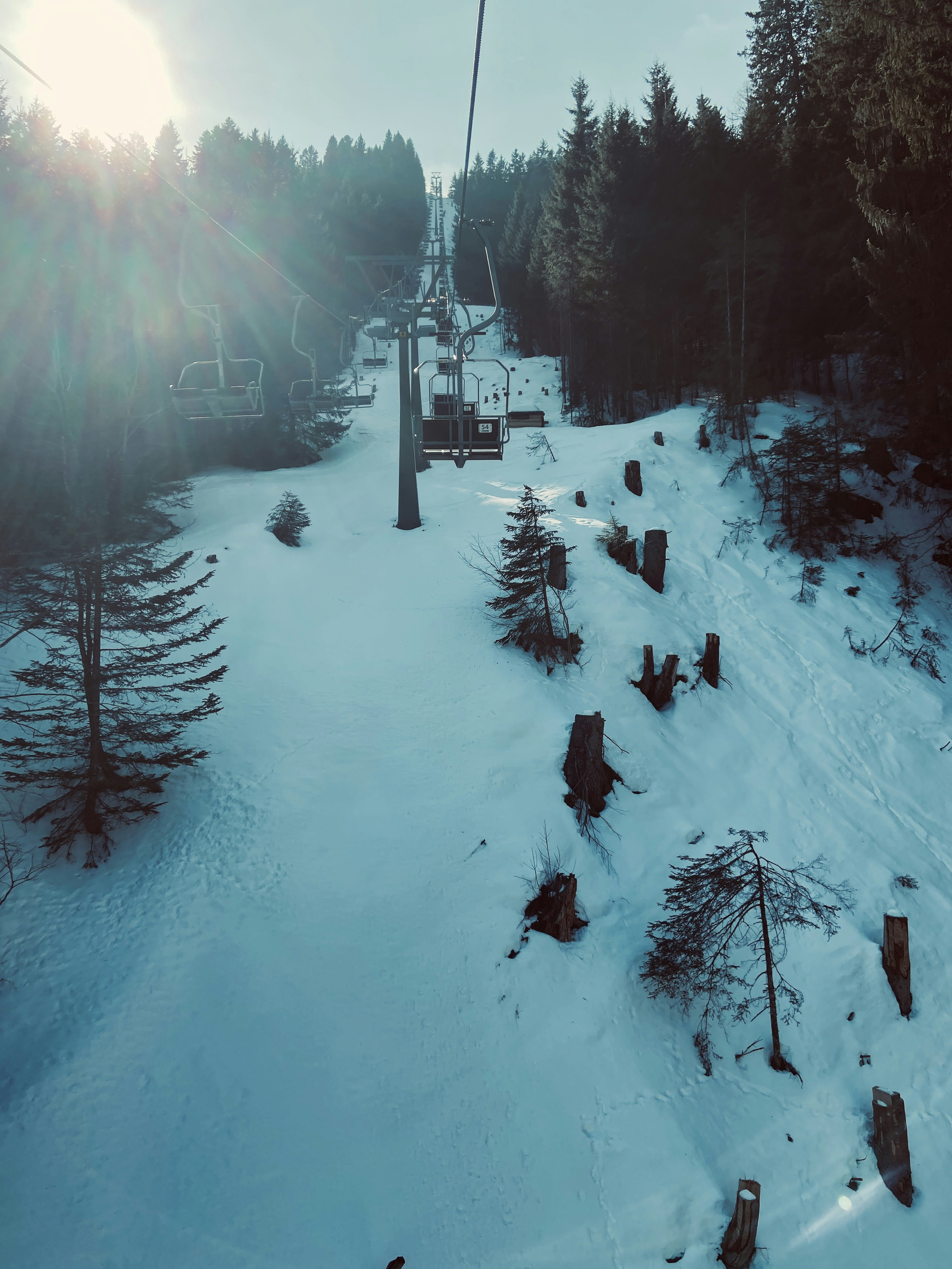 High-Quality Cannabis Seeds and Clones