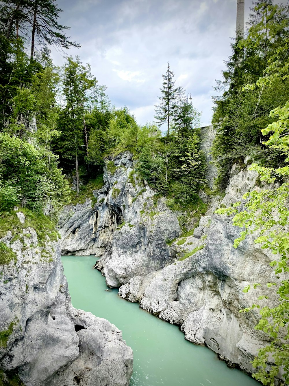 a river with rocks and trees