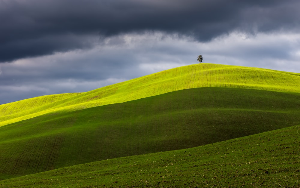 a person riding a bike on a green hill