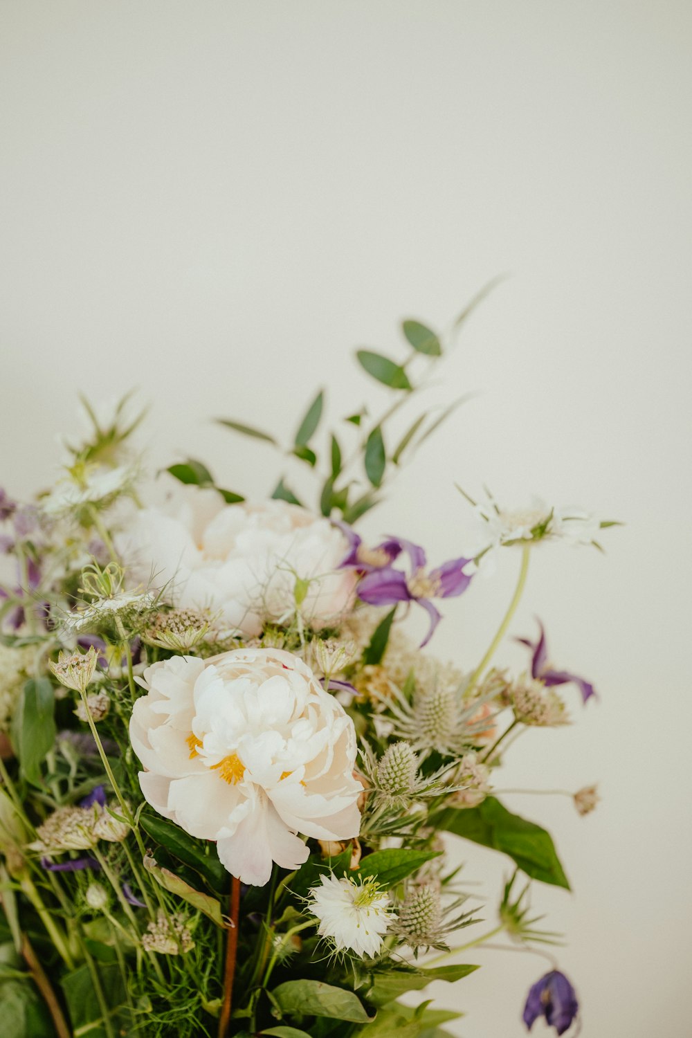 un groupe de fleurs