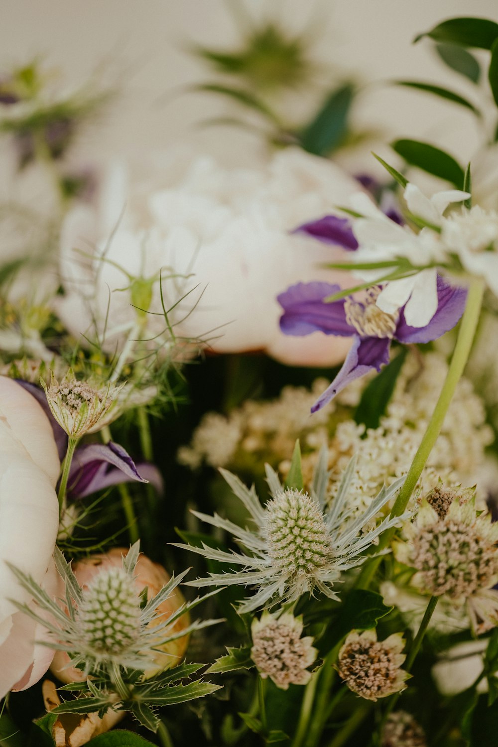 close up of flowers