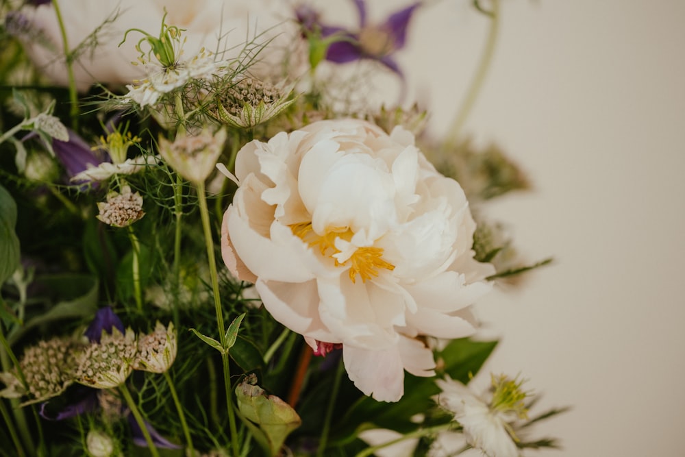 a close up of a white flower