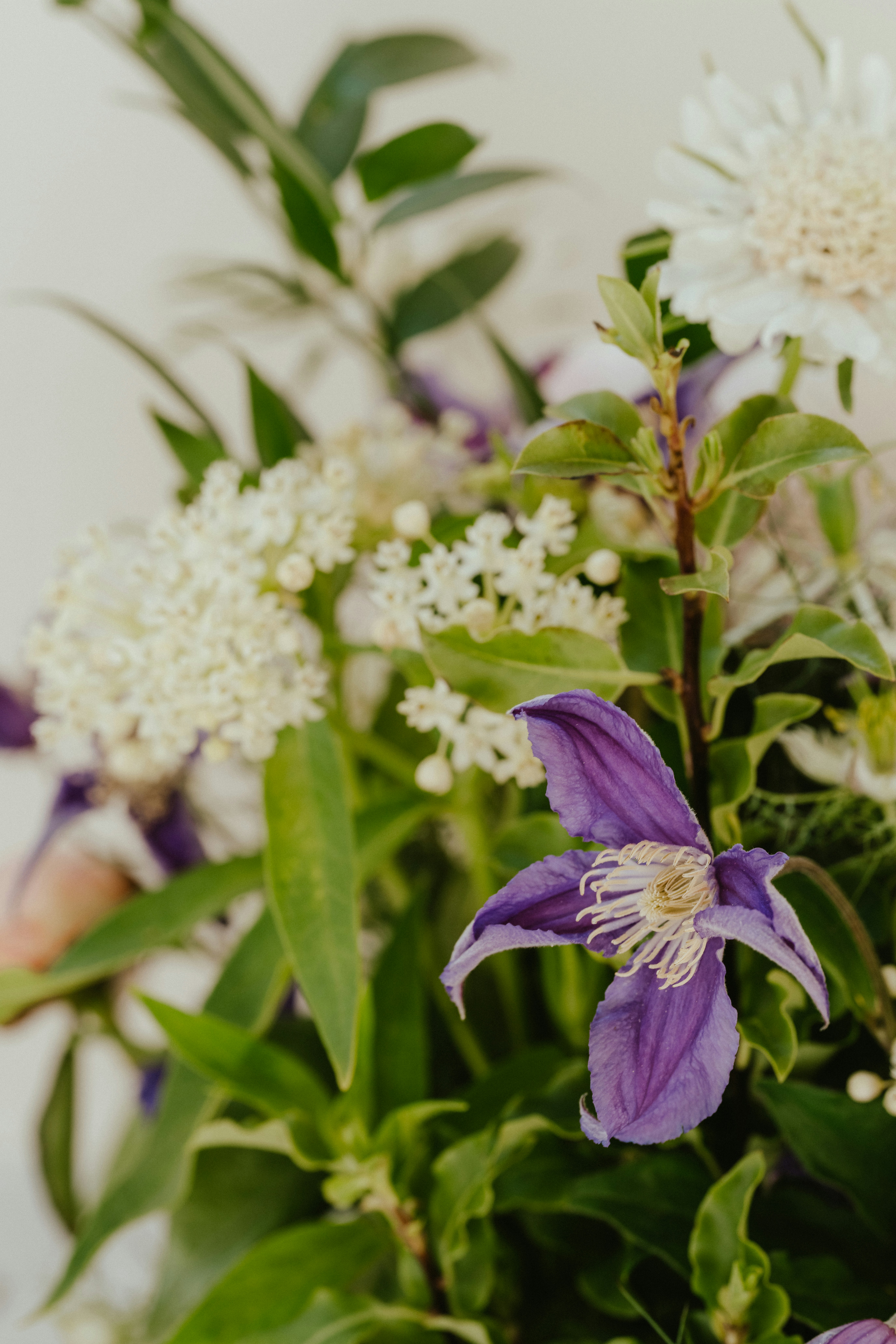 Photo by anniespratt