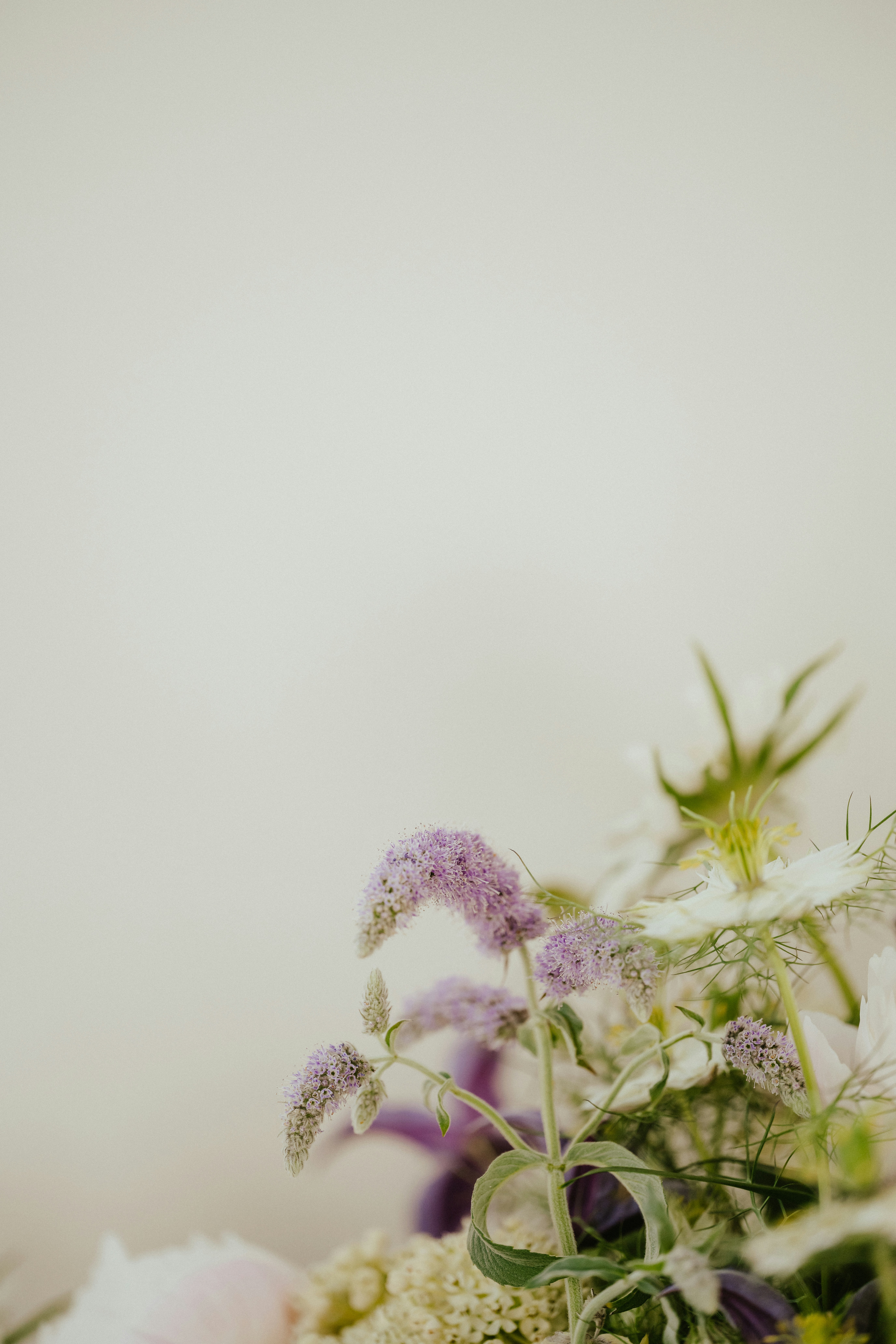 Photo by anniespratt