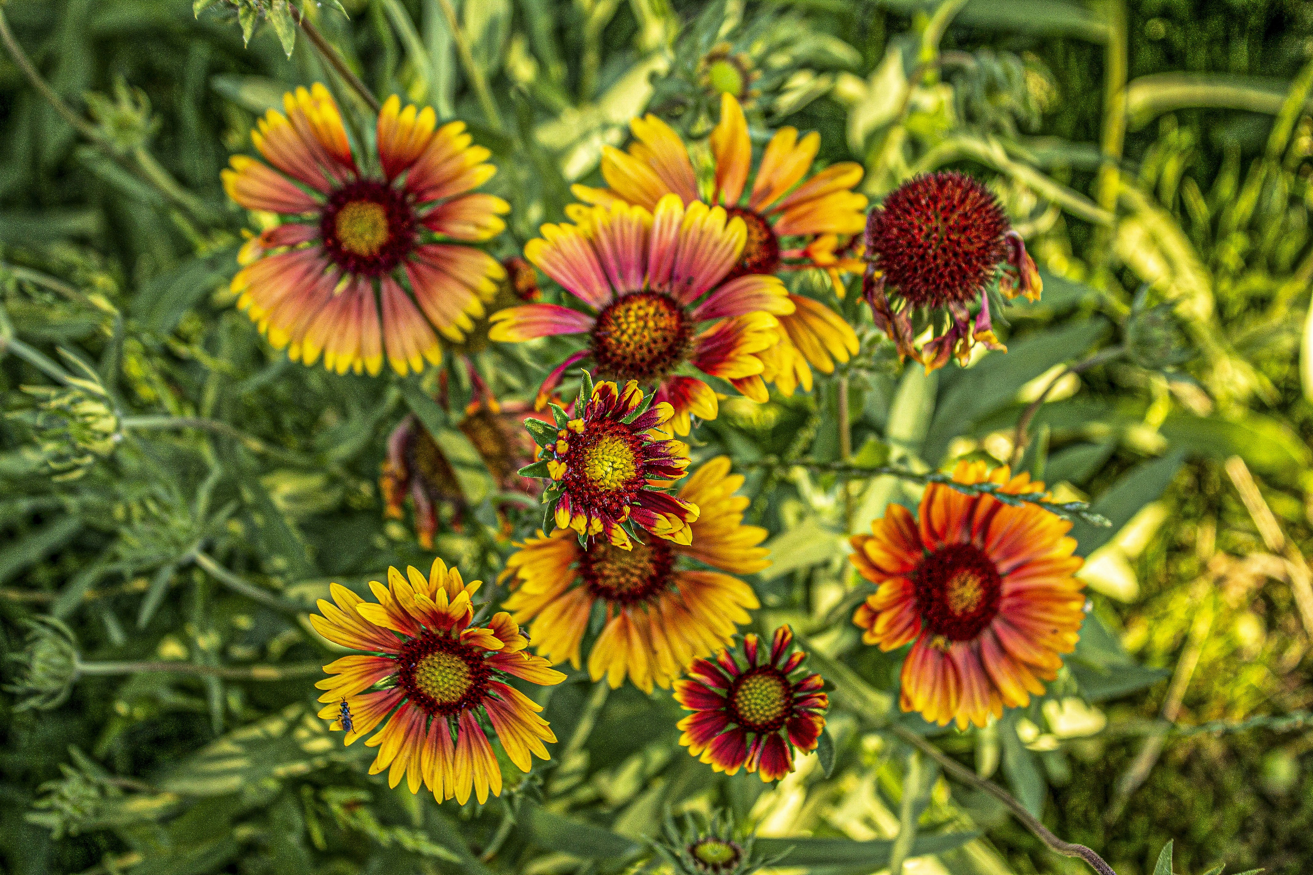 Photo by olgamusiichuck