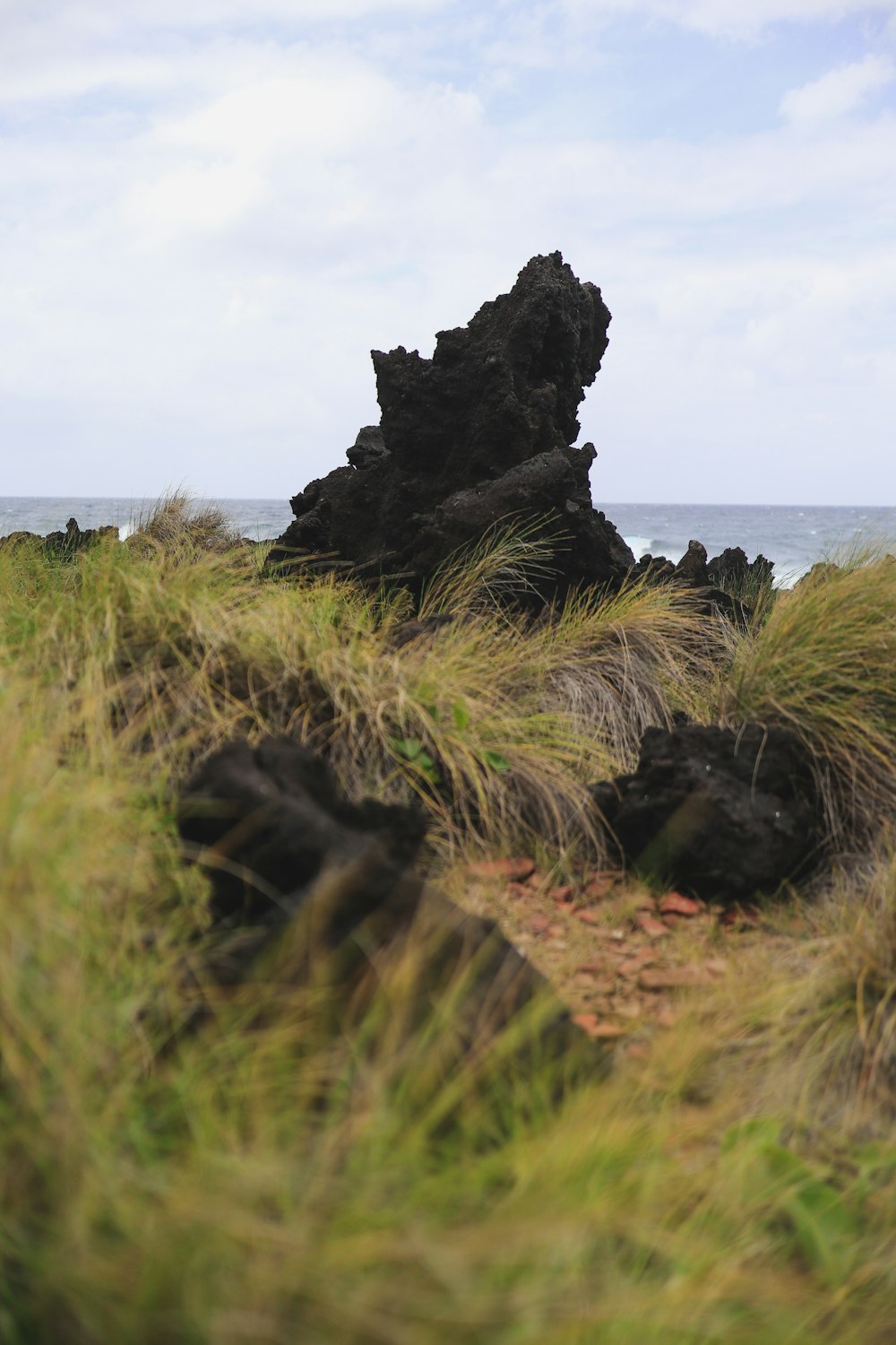 a rock on the beach