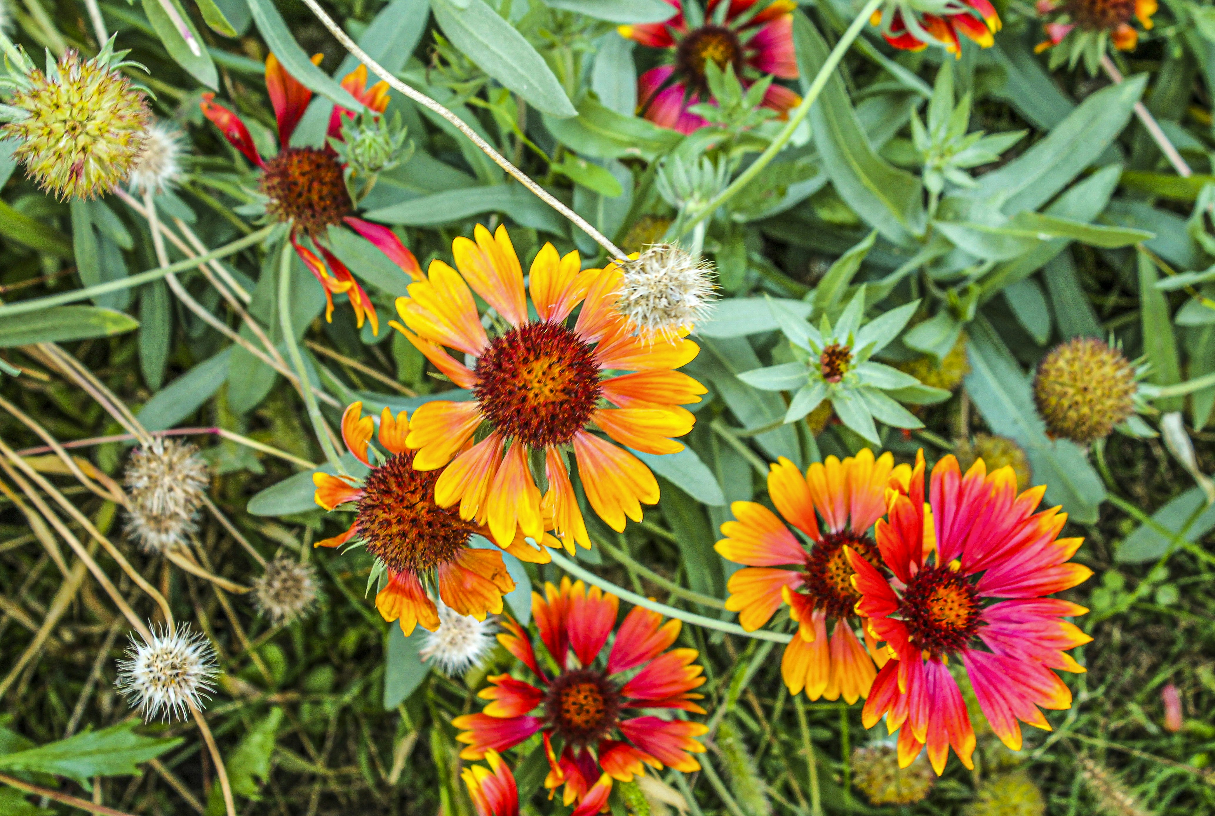 Photo by olgamusiichuck