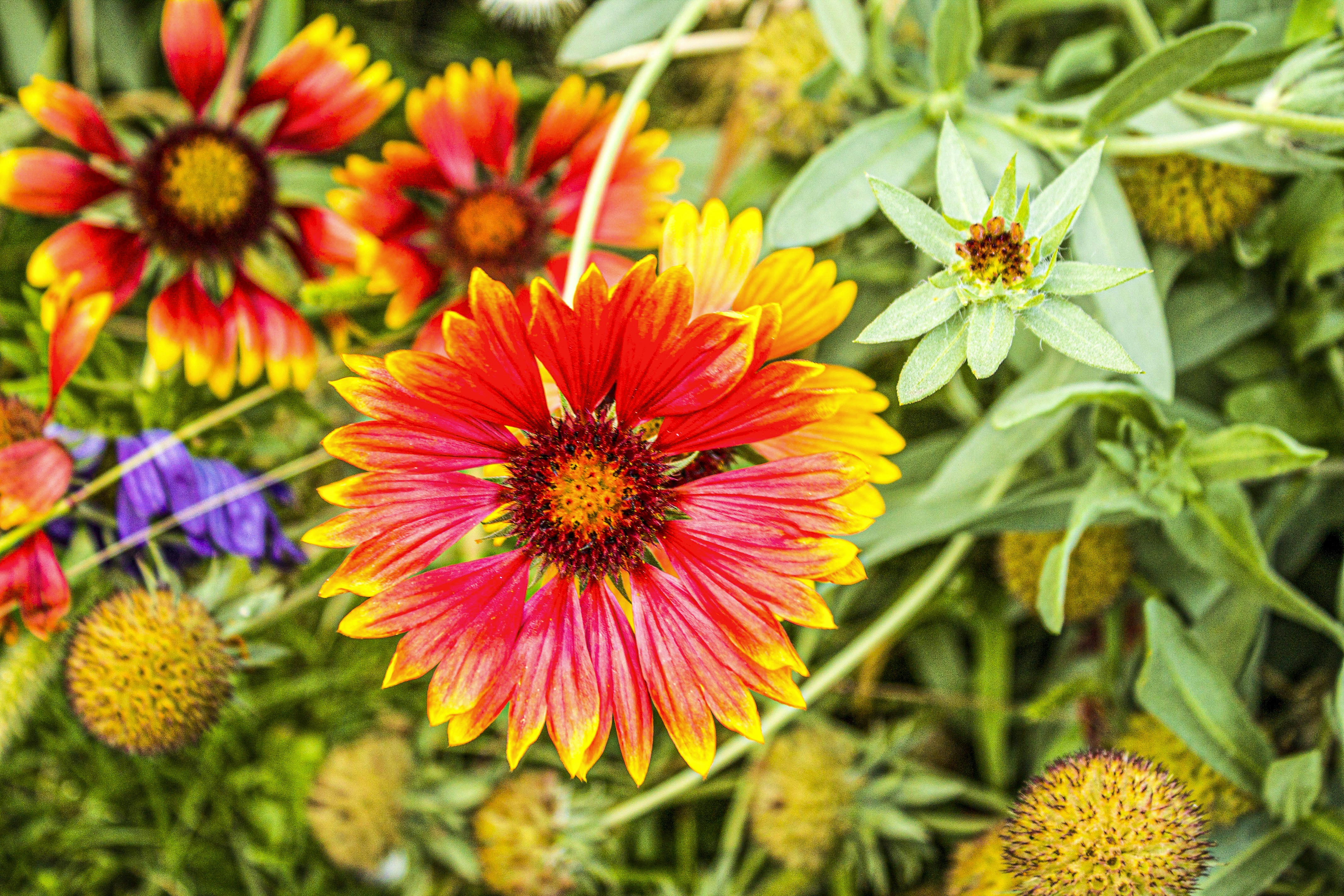 Photo by olgamusiichuck